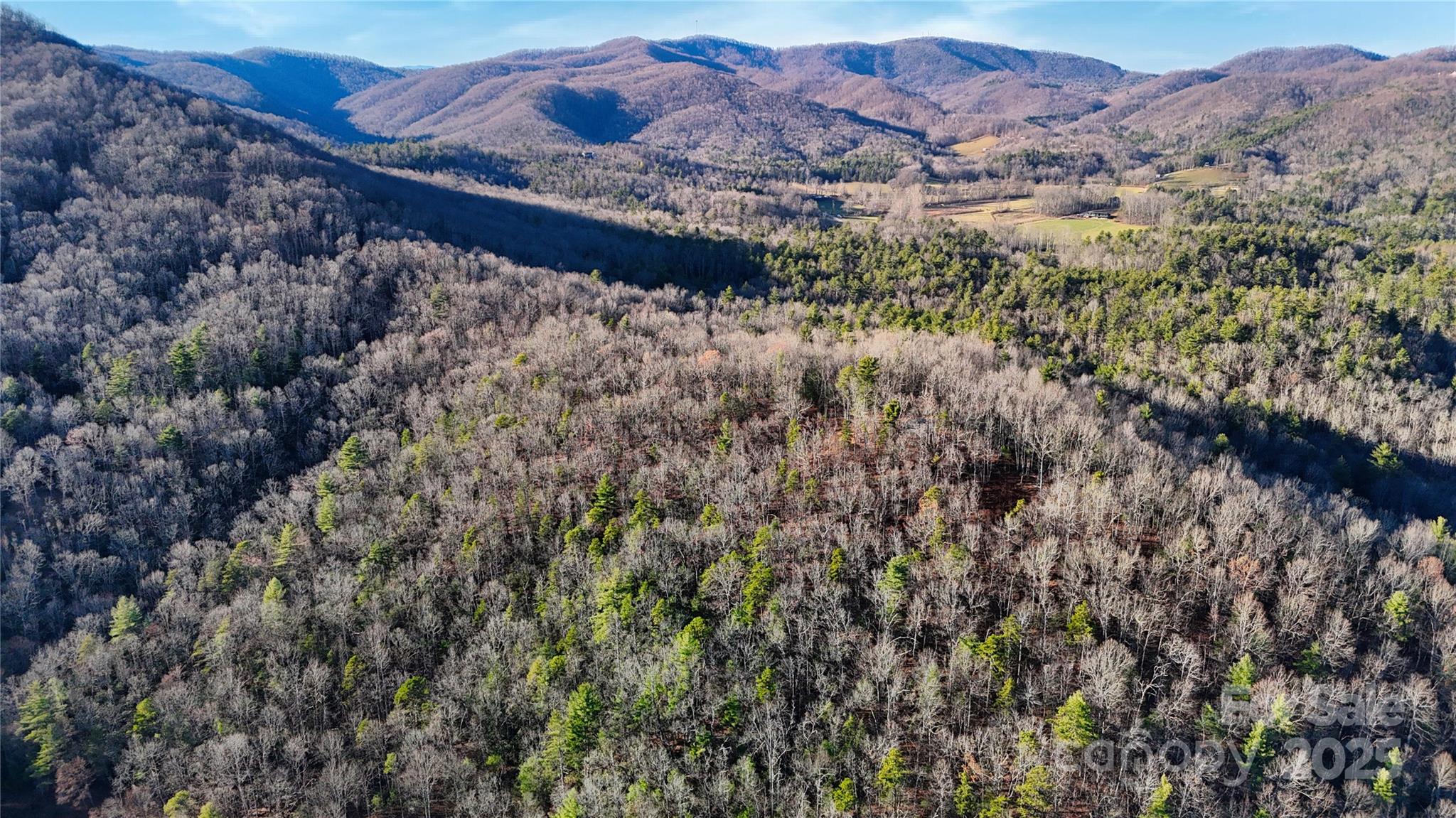 130 Brown Bear Ridge Trail Property Photo 8