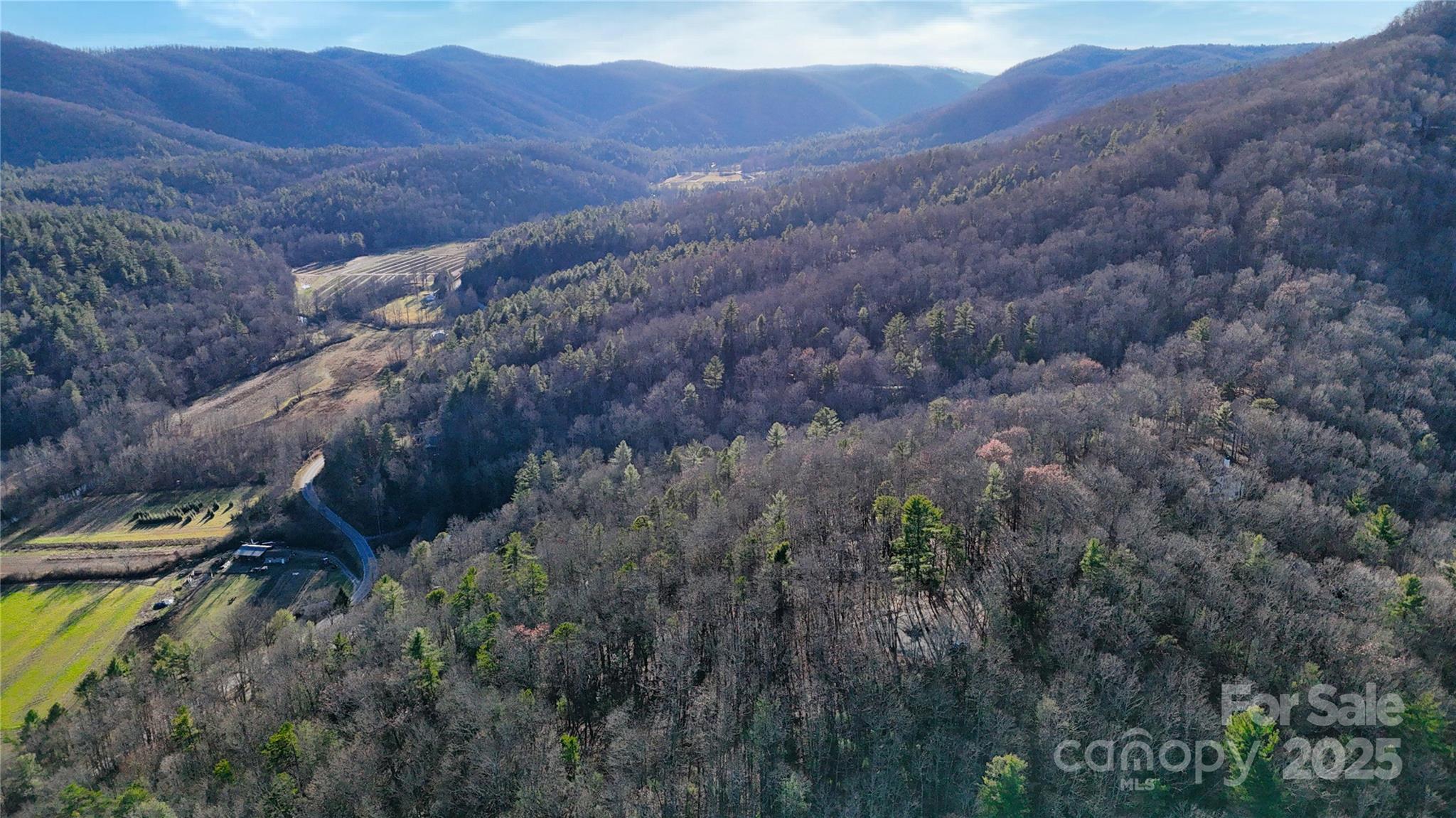 130 Brown Bear Ridge Trail Property Photo 9