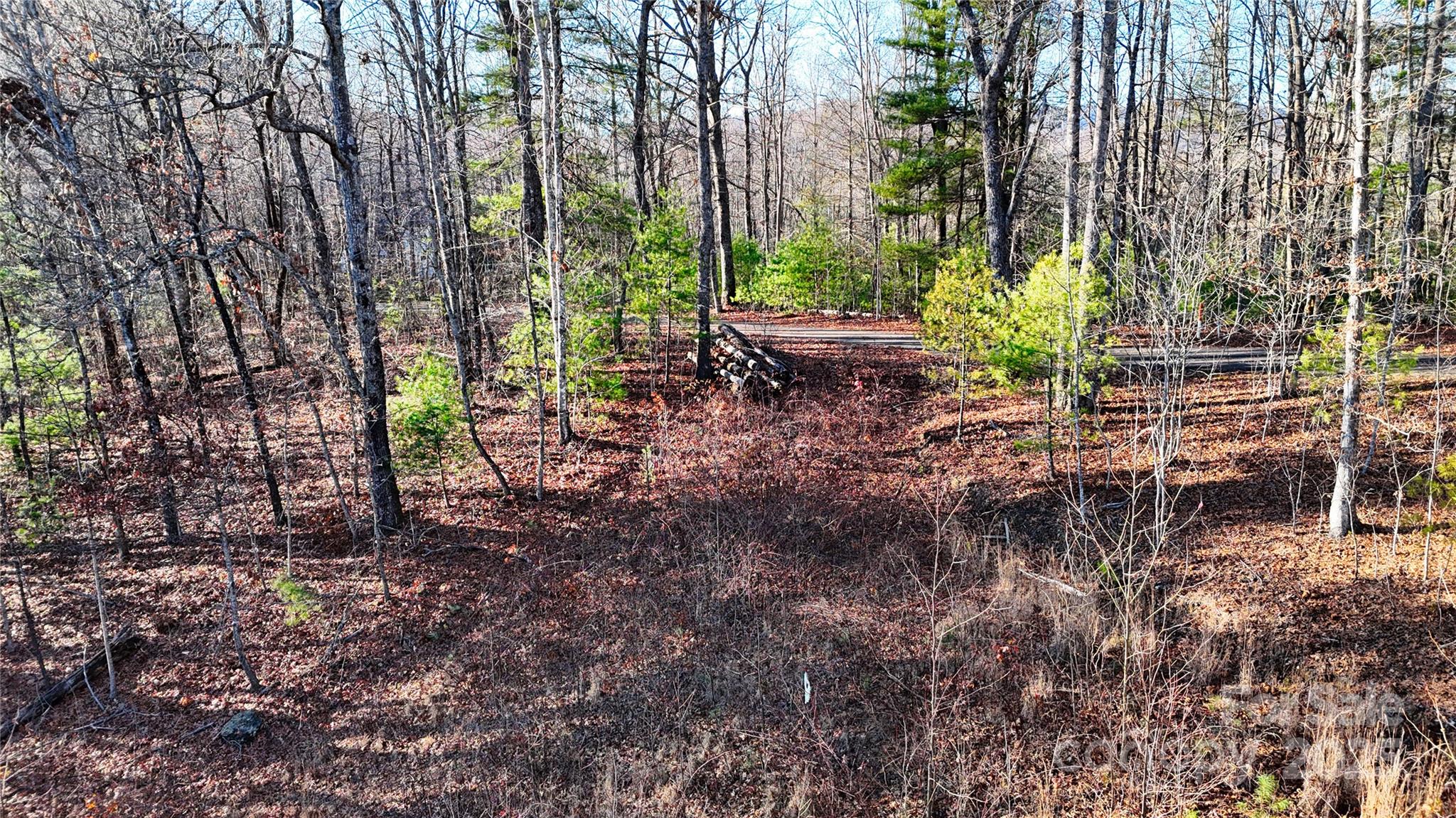 130 Brown Bear Ridge Trail Property Photo 10