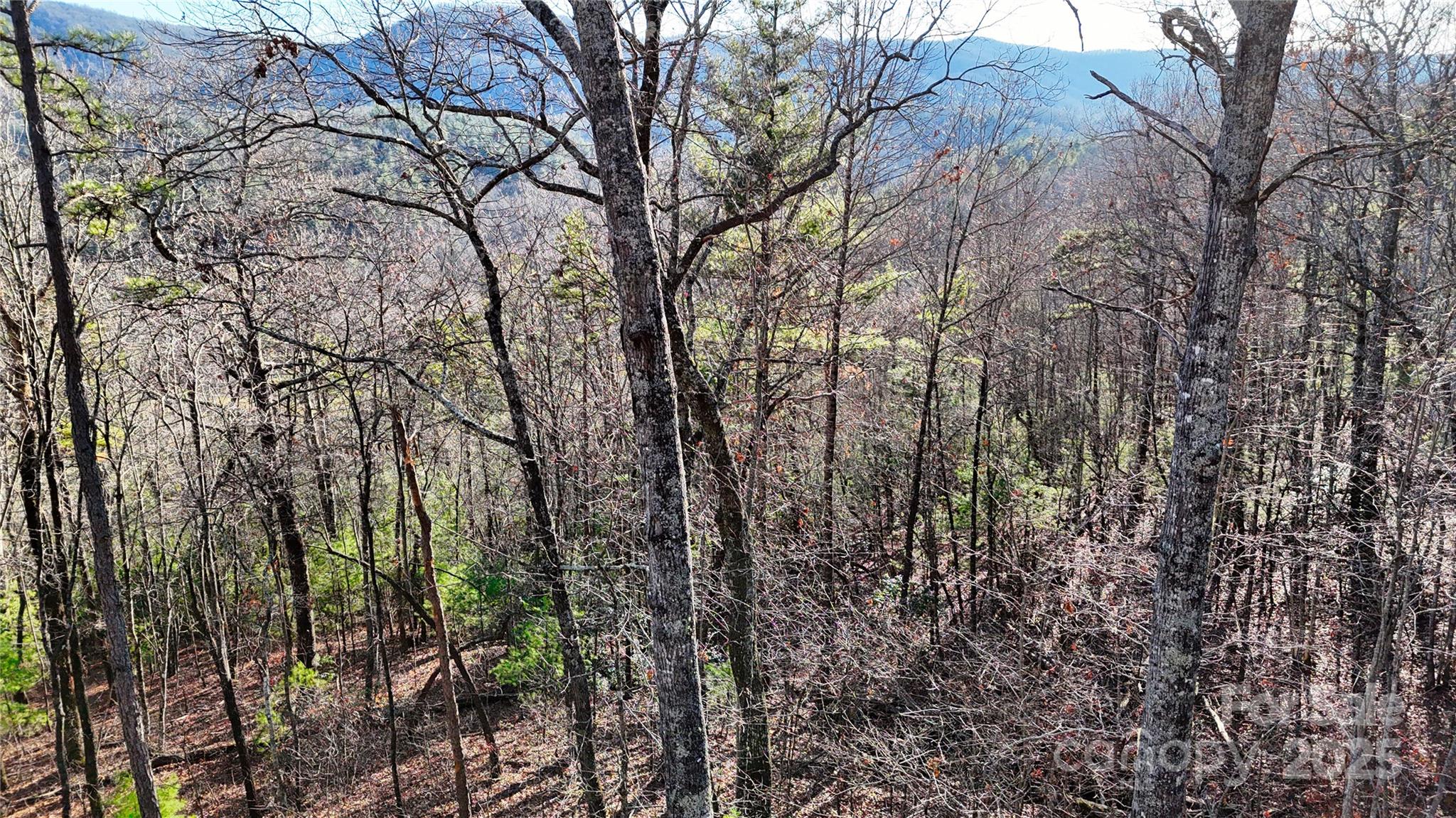 130 Brown Bear Ridge Trail Property Photo 11