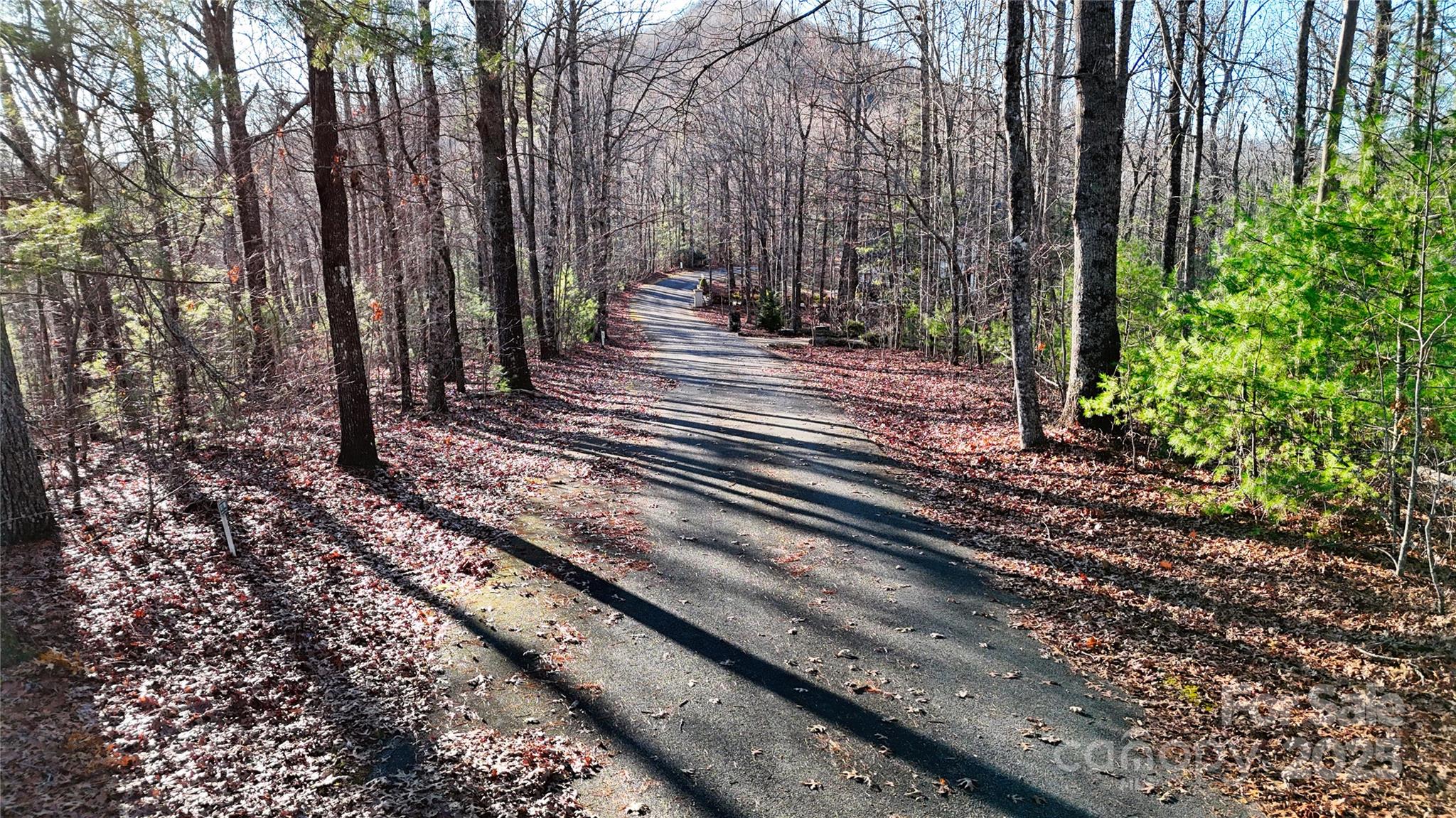 130 Brown Bear Ridge Trail Property Photo 13