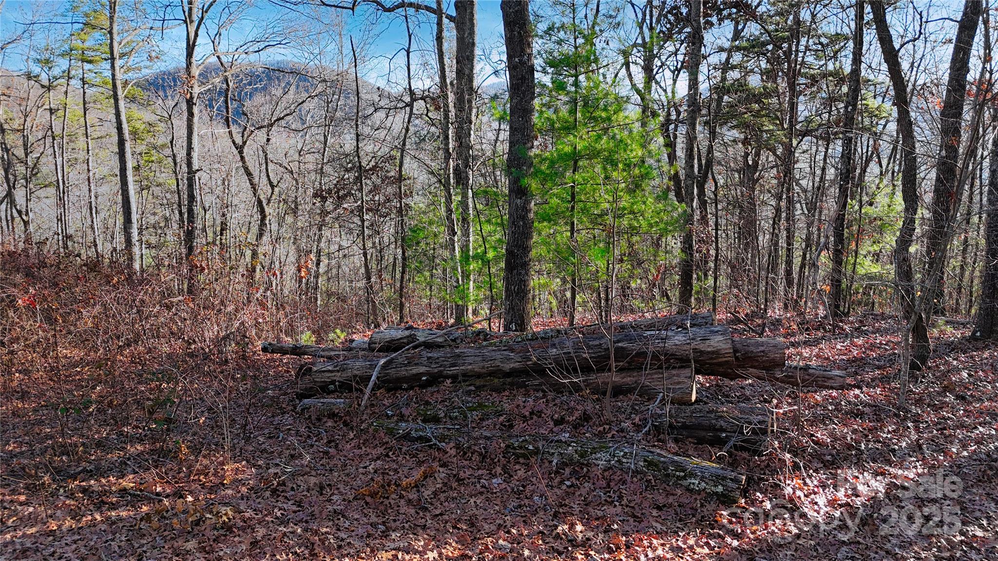 130 Brown Bear Ridge Trail Property Photo 14