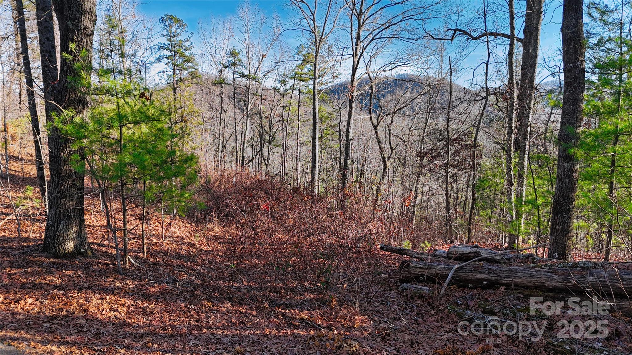 130 Brown Bear Ridge Trail Property Photo 15