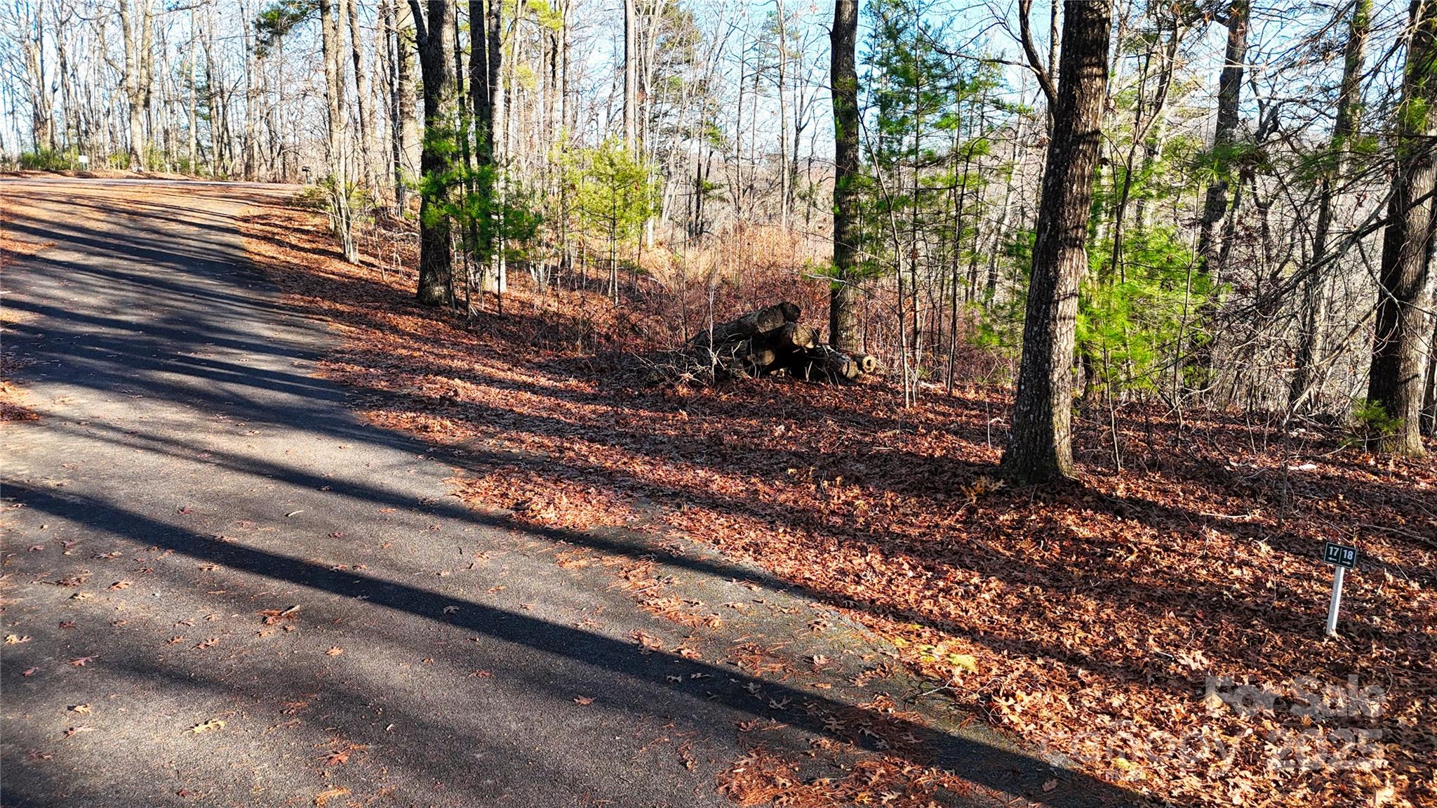 130 Brown Bear Ridge Trail Property Photo 16