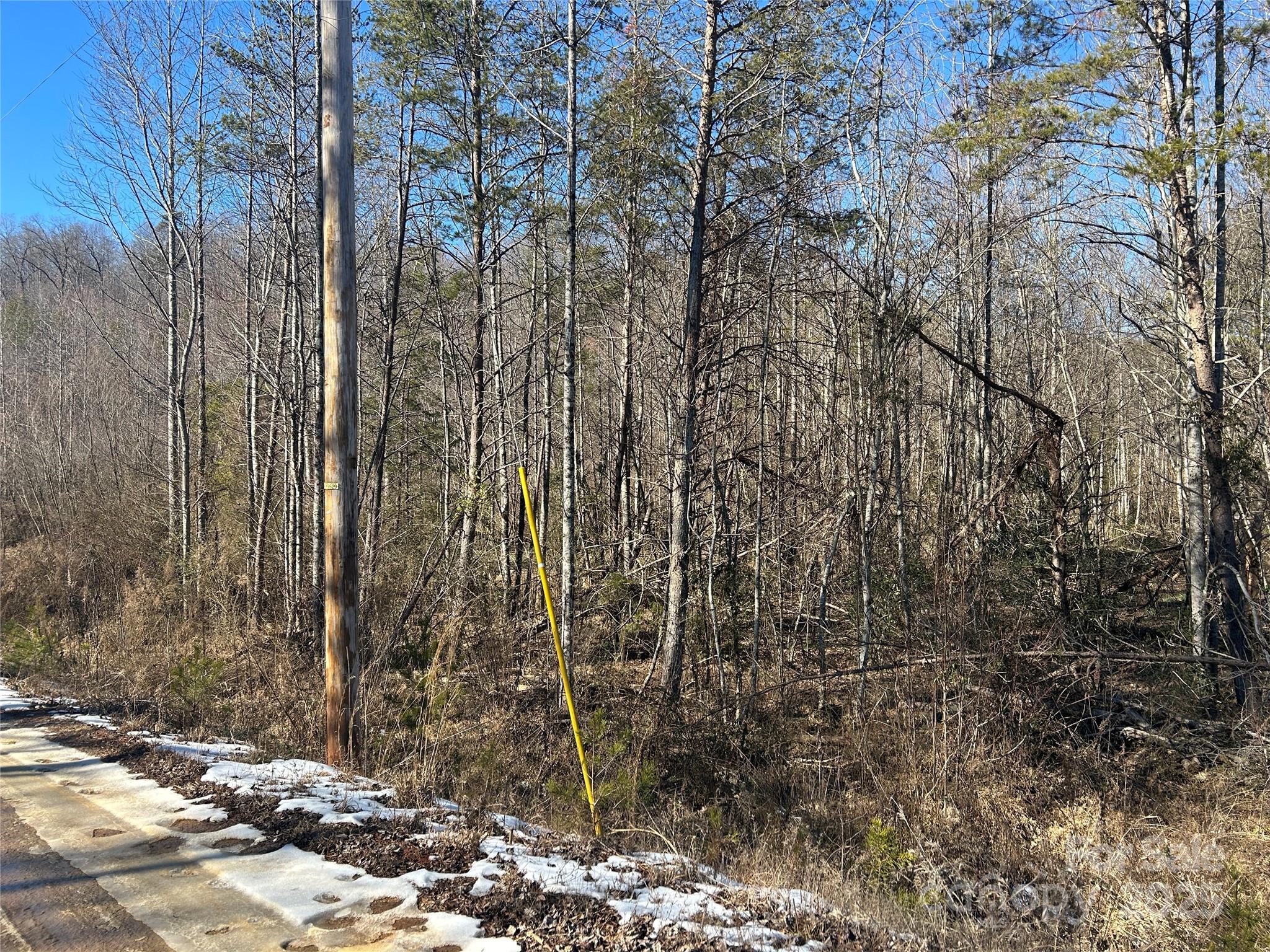 0 Old Vashti Road Property Photo 2