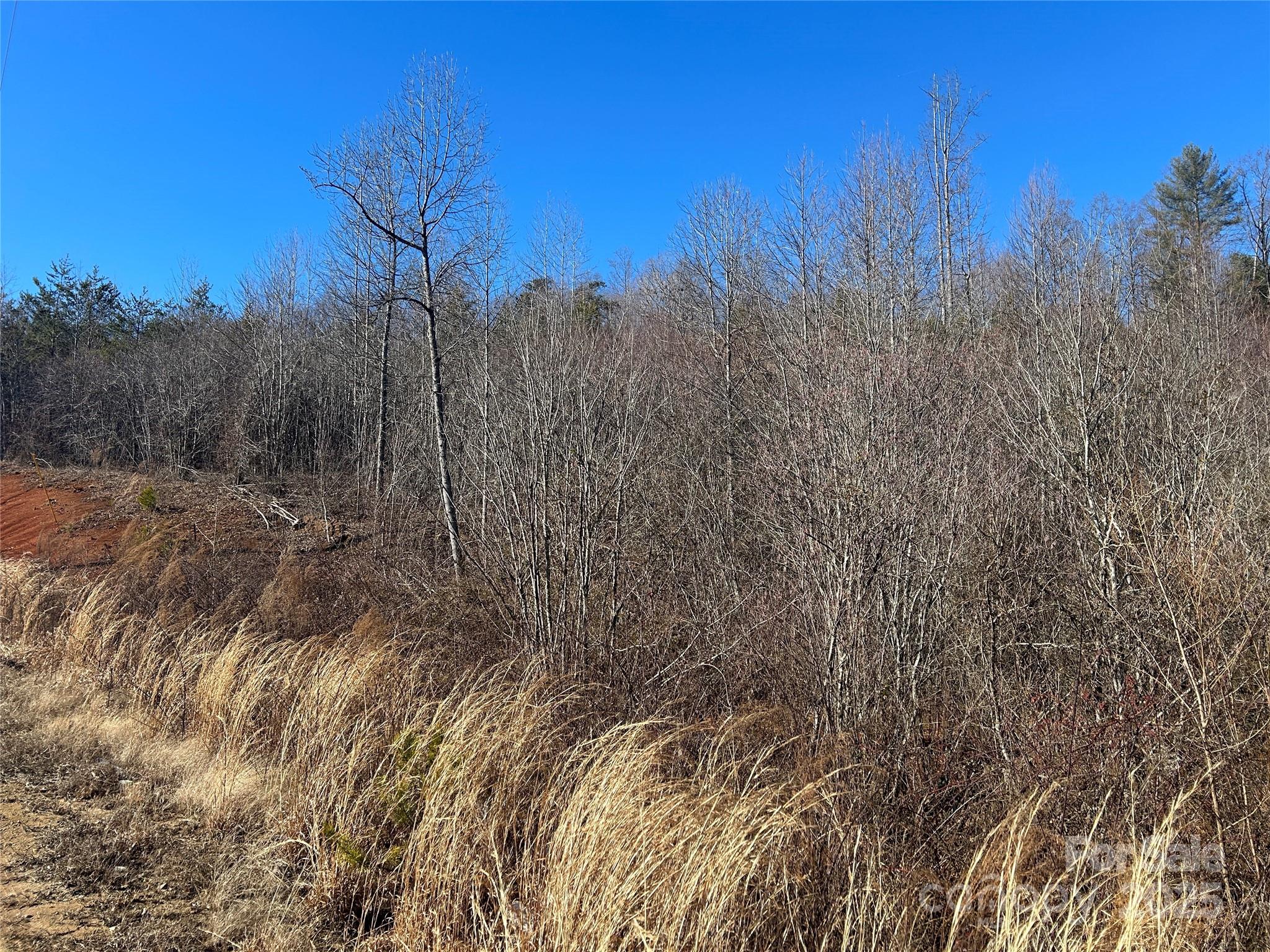 0 Old Vashti Road Property Photo 3