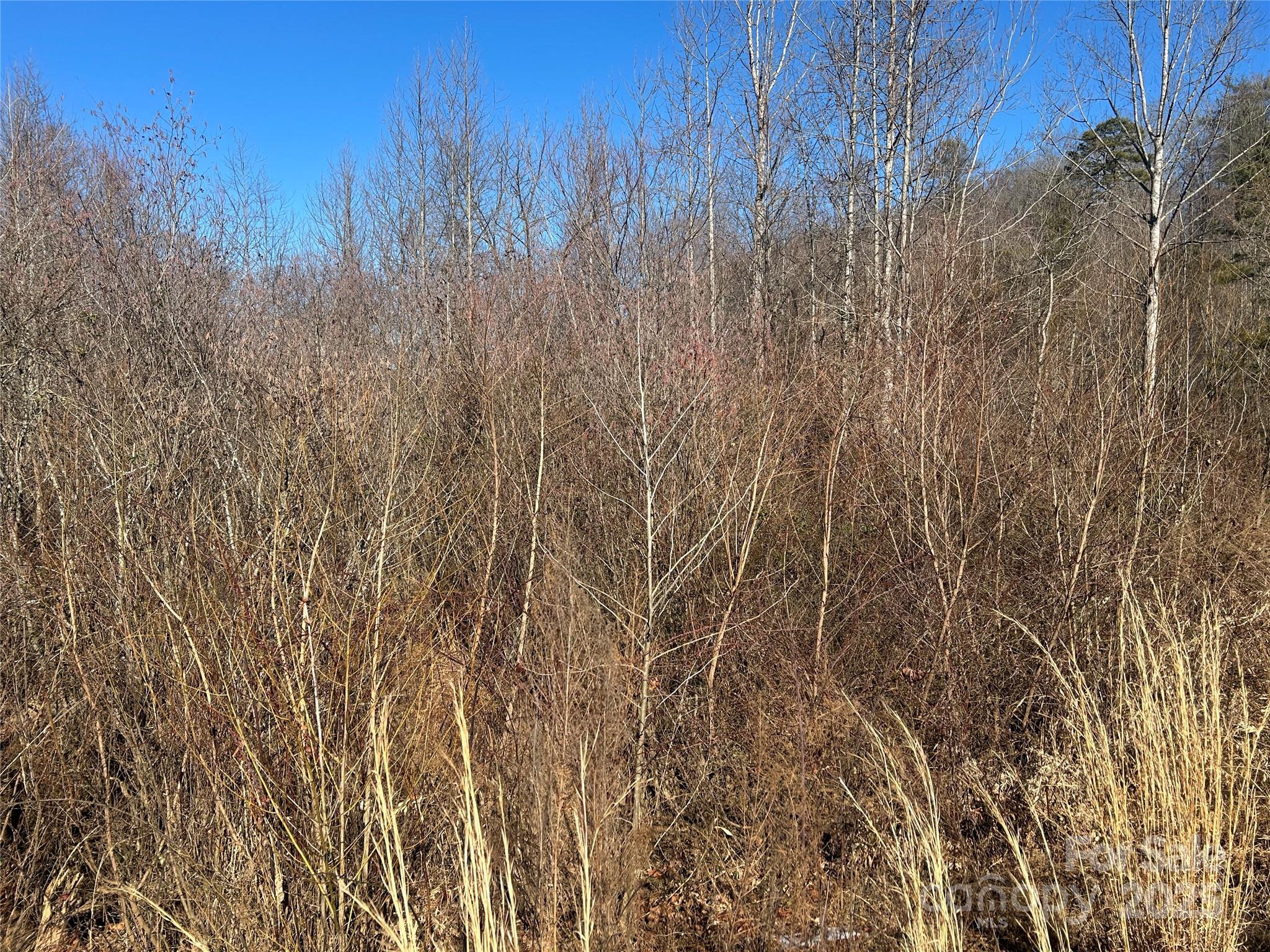 0 Old Vashti Road Property Photo 5
