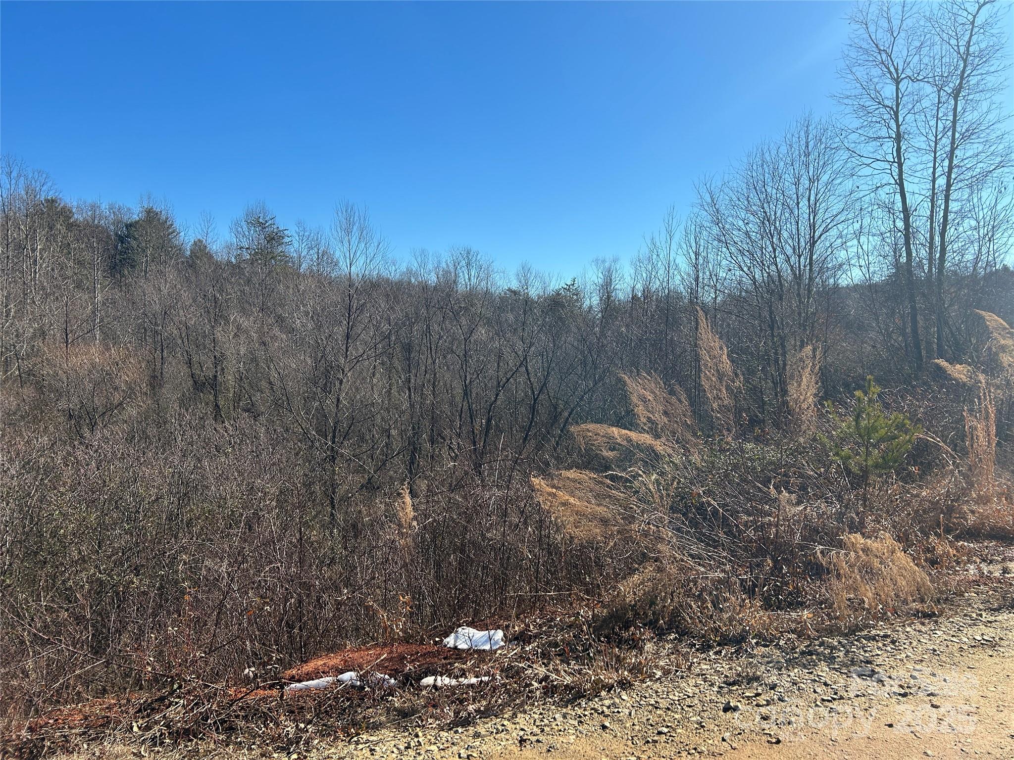 0 Old Vashti Road Property Photo 6