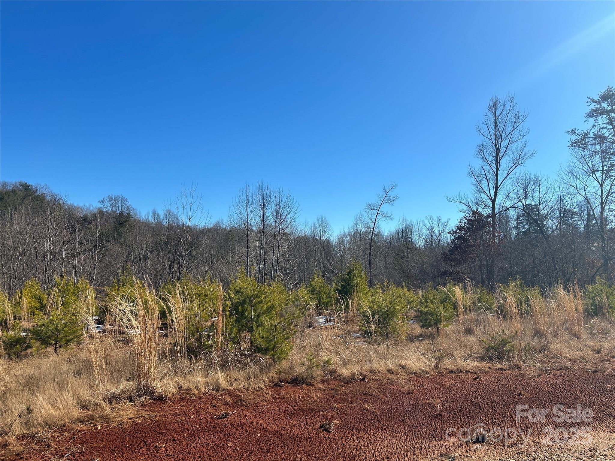 0 Old Vashti Road Property Photo 7