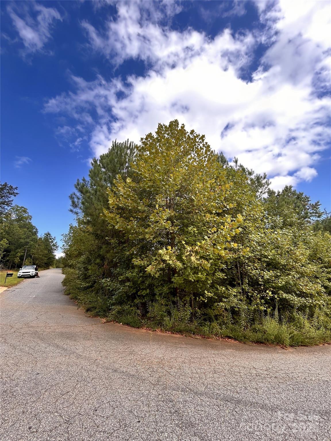 131 Big Bertha Drive Property Photo