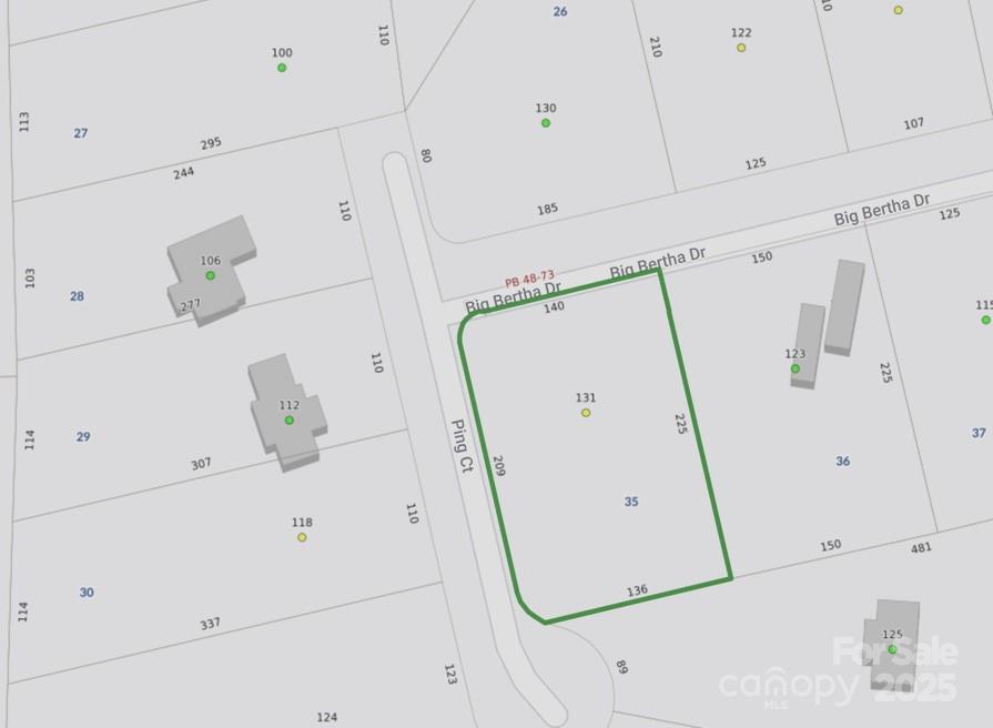 131 Big Bertha Drive Property Photo 2