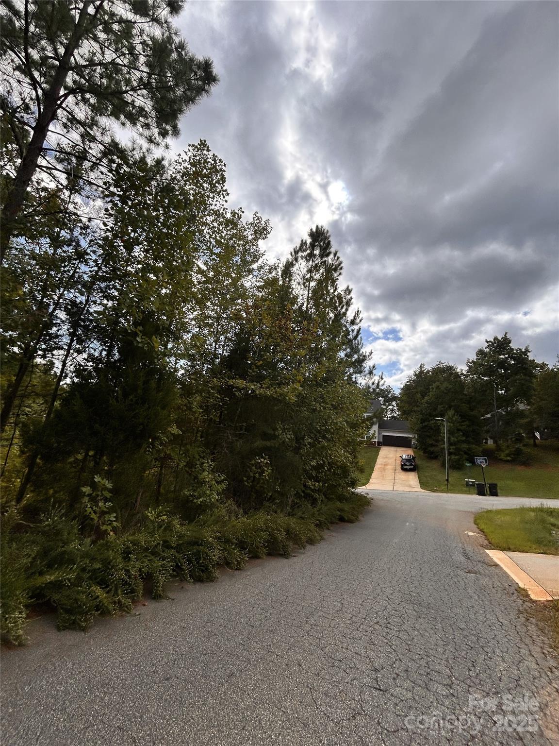 131 Big Bertha Drive Property Photo 3