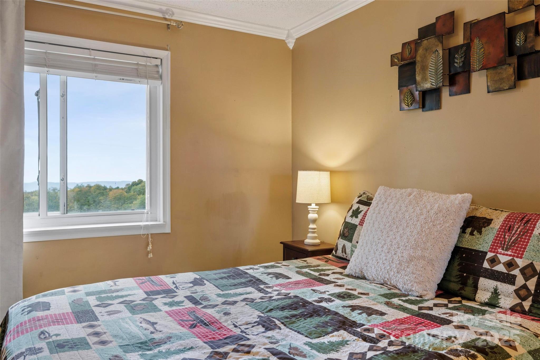 301 Pinnacle Inn Road 4211 Property Photo 31