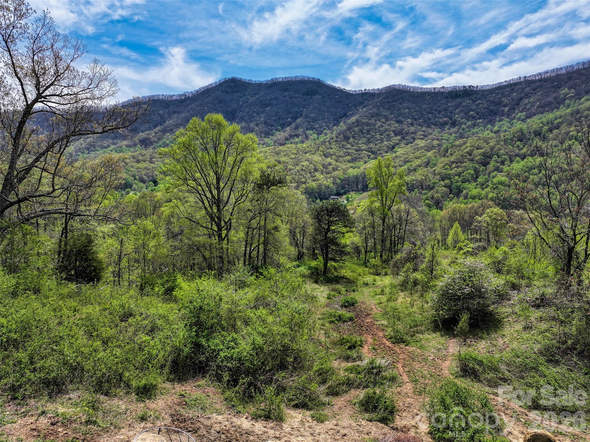 1567 Newfound Road Property Photo 9