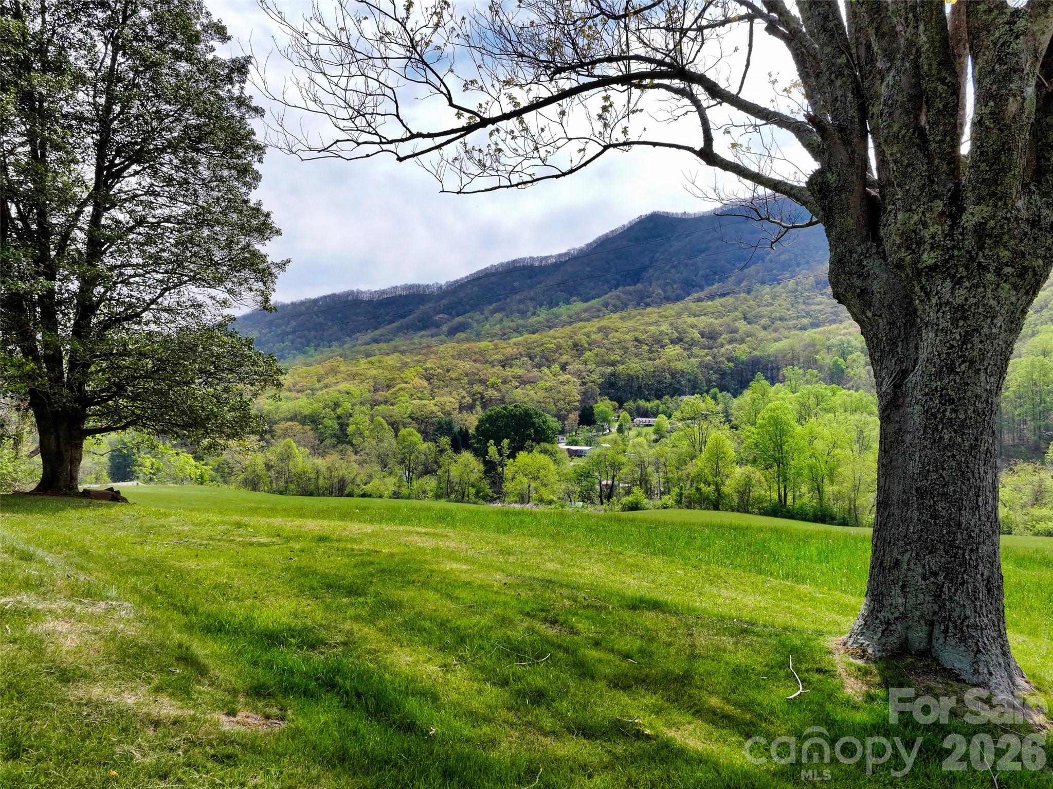 1567 Newfound Road Property Photo 35