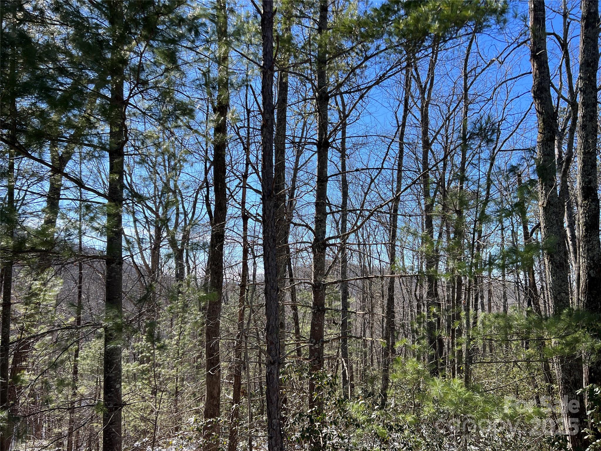 Tbd (lot 4) Wolf Den Lane Property Photo 13