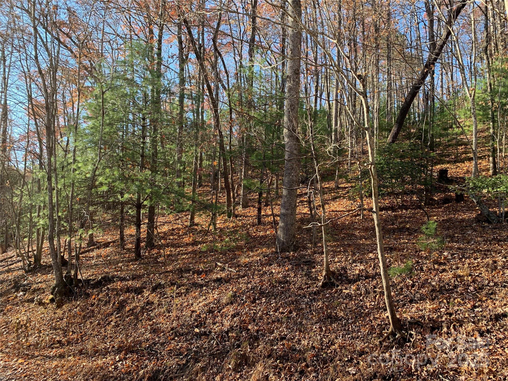 Tbd (lot 1) Dugger Firetower Road Property Photo