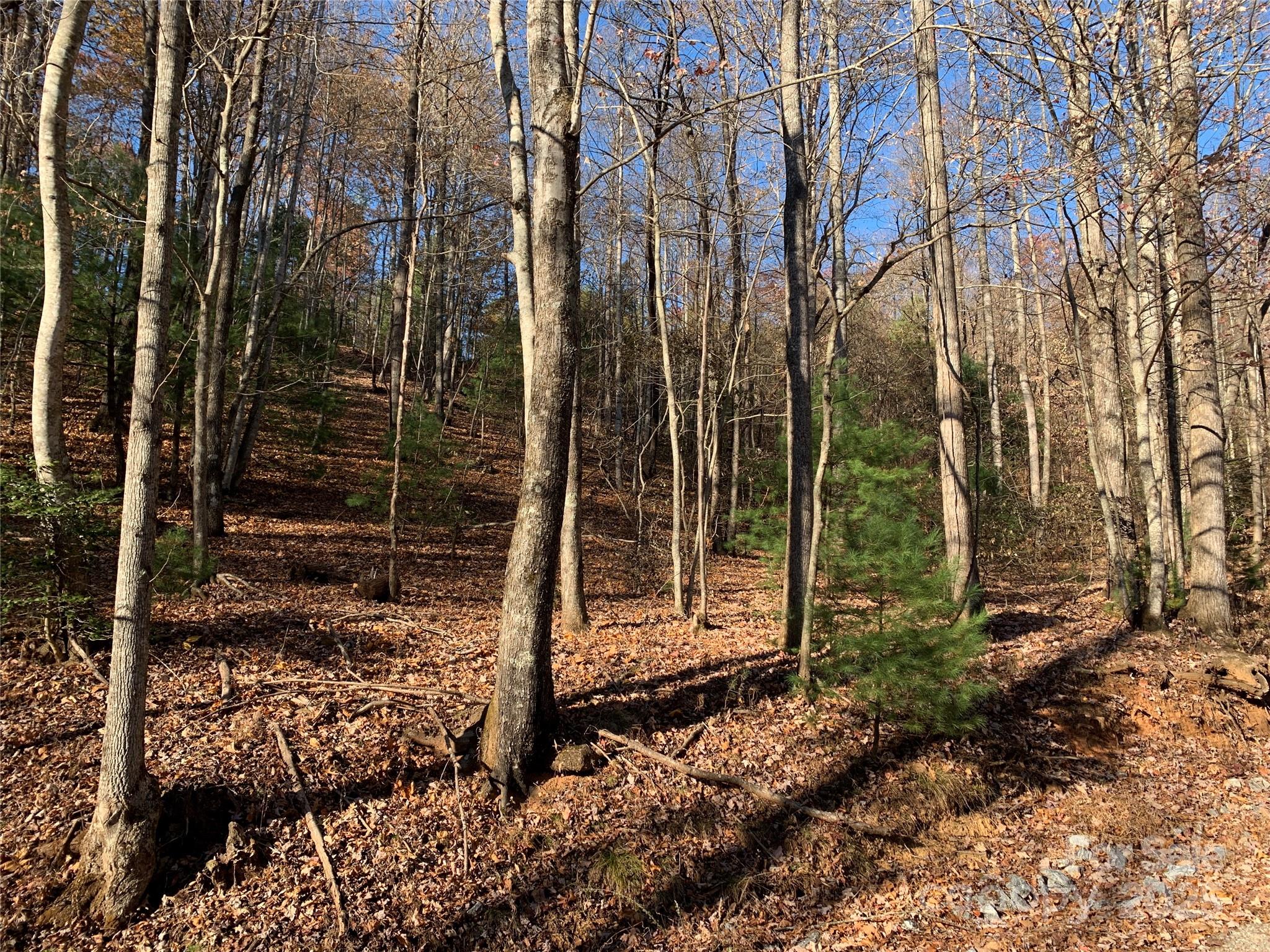 Tbd (lot 1) Dugger Firetower Road Property Photo 2