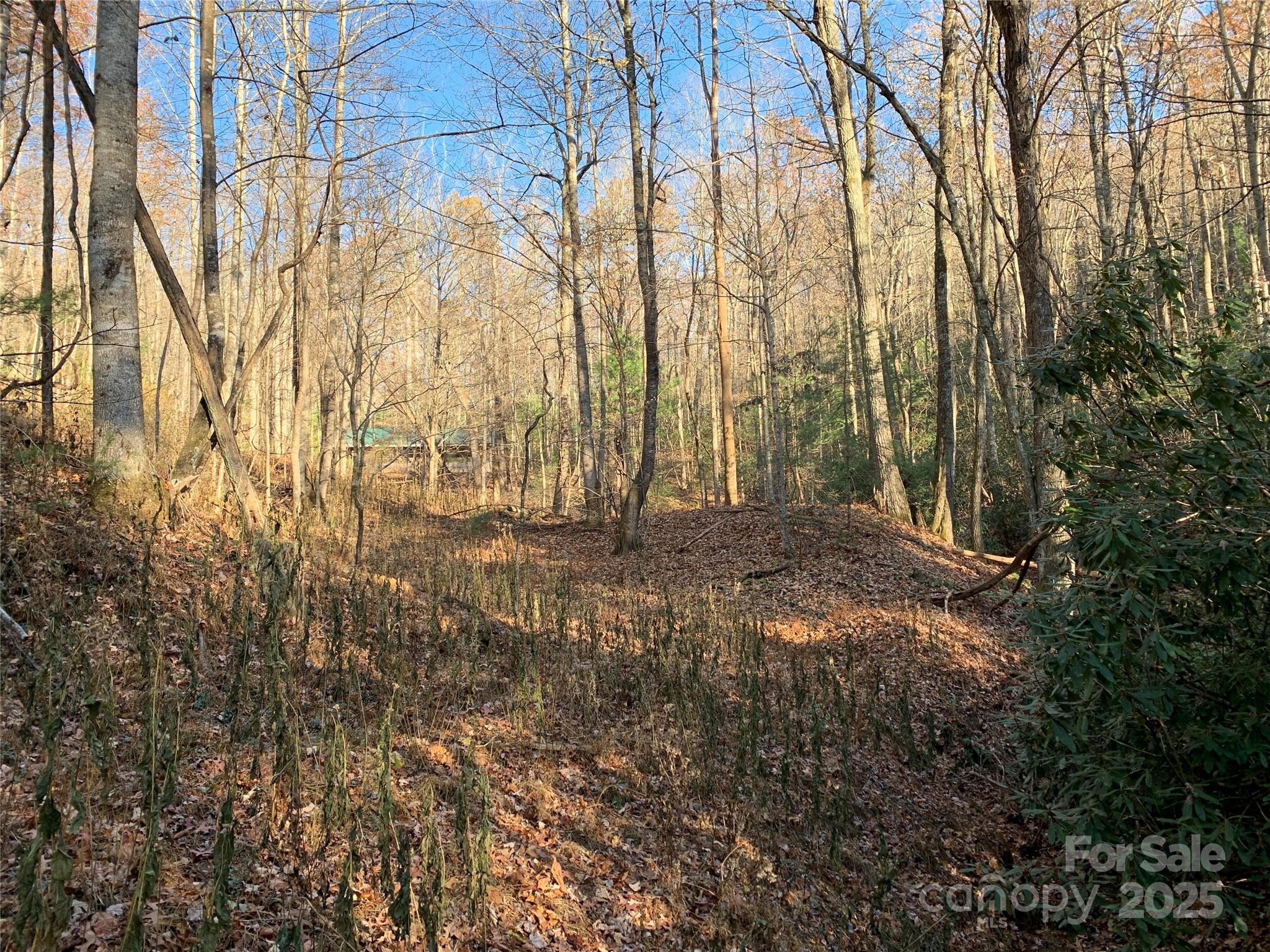 Tbd (lot 1) Dugger Firetower Road Property Photo 4