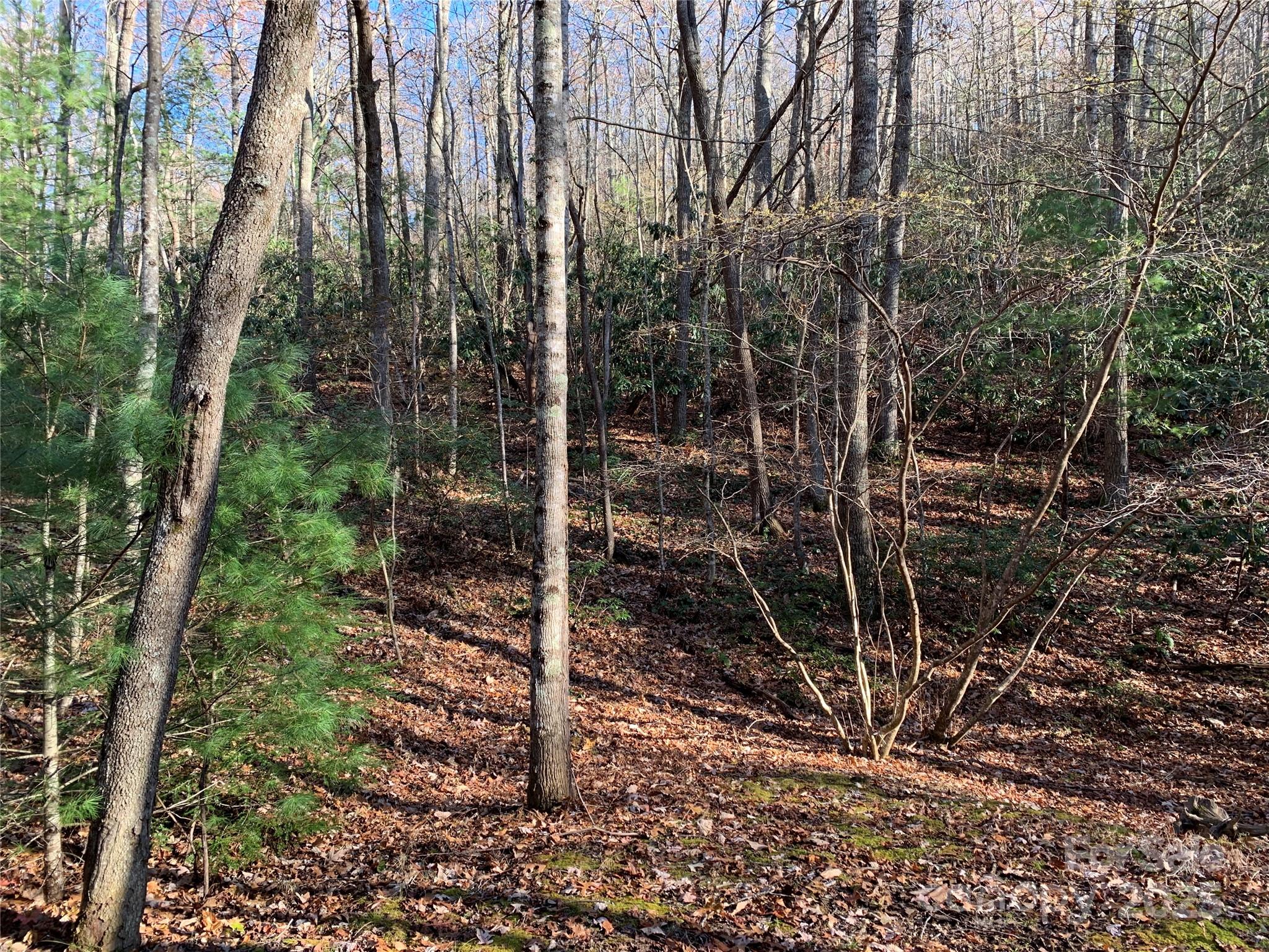 Tbd (lot 1) Dugger Firetower Road Property Photo 5