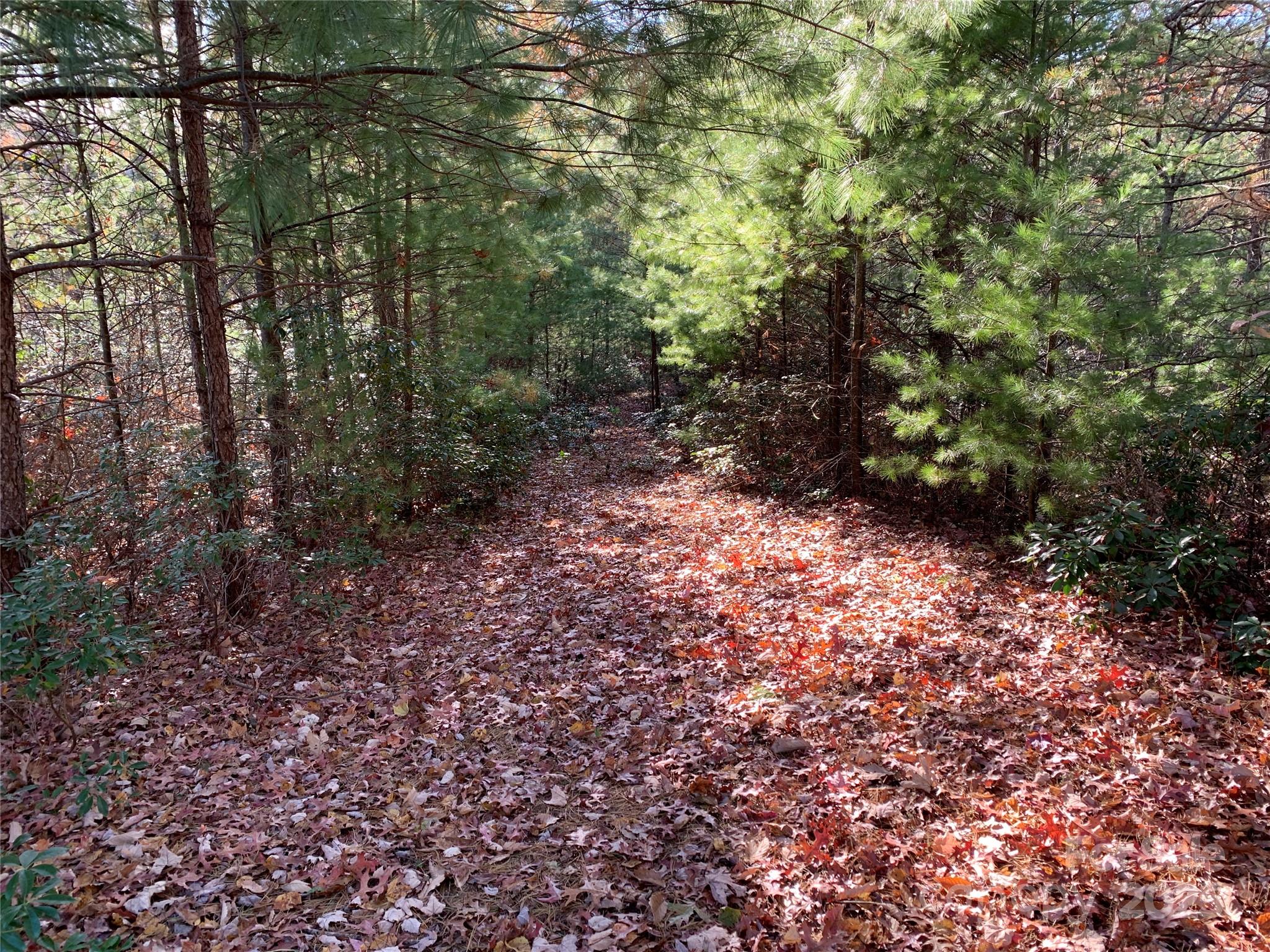 Tbd (lot 1) Dugger Firetower Road Property Photo 6