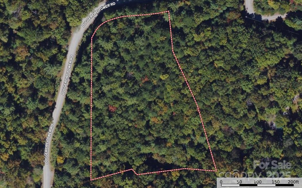 Tbd (lot 1) Dugger Firetower Road Property Photo 7