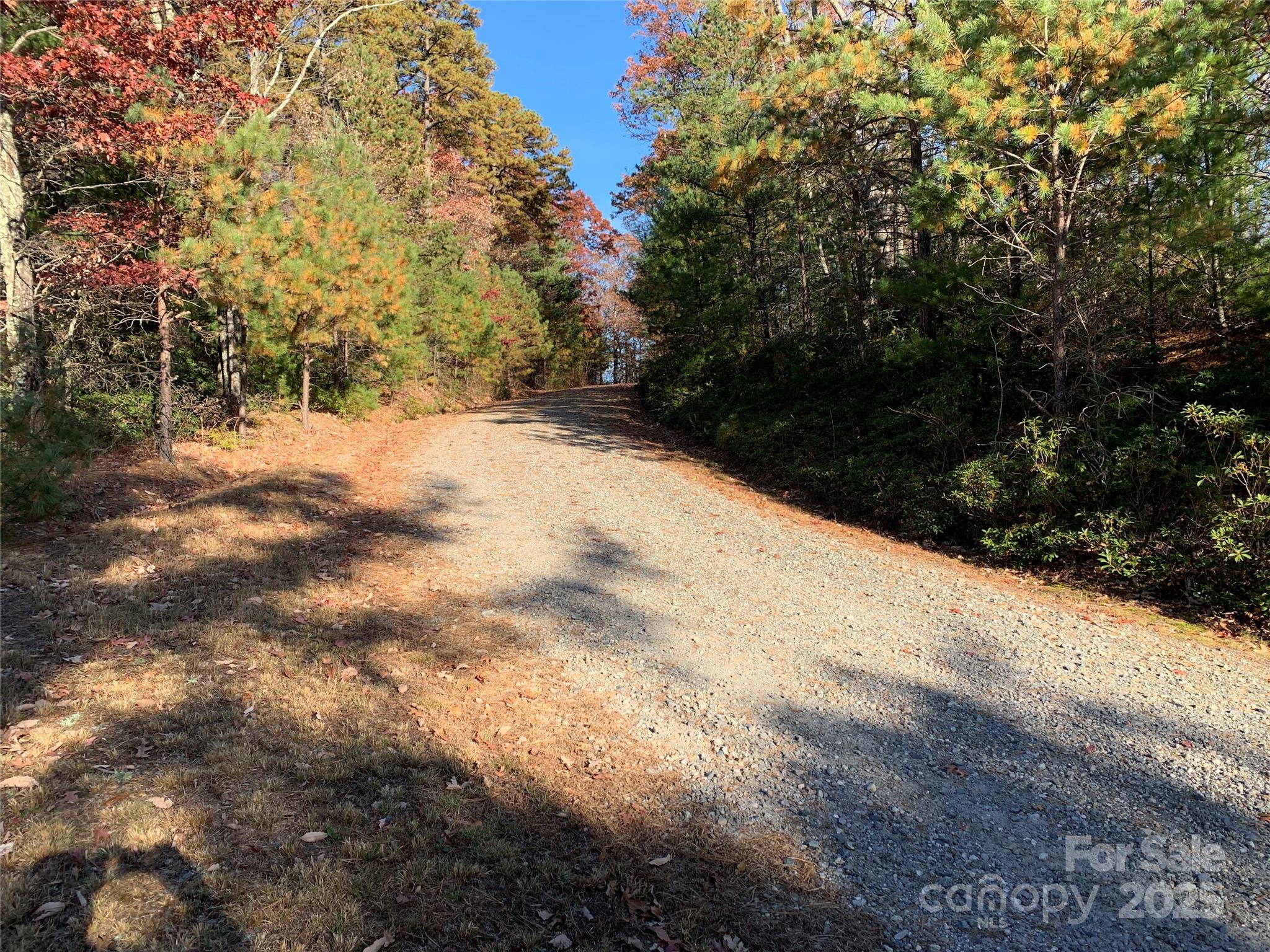 Tbd (lot 1) Dugger Firetower Road Property Photo 11
