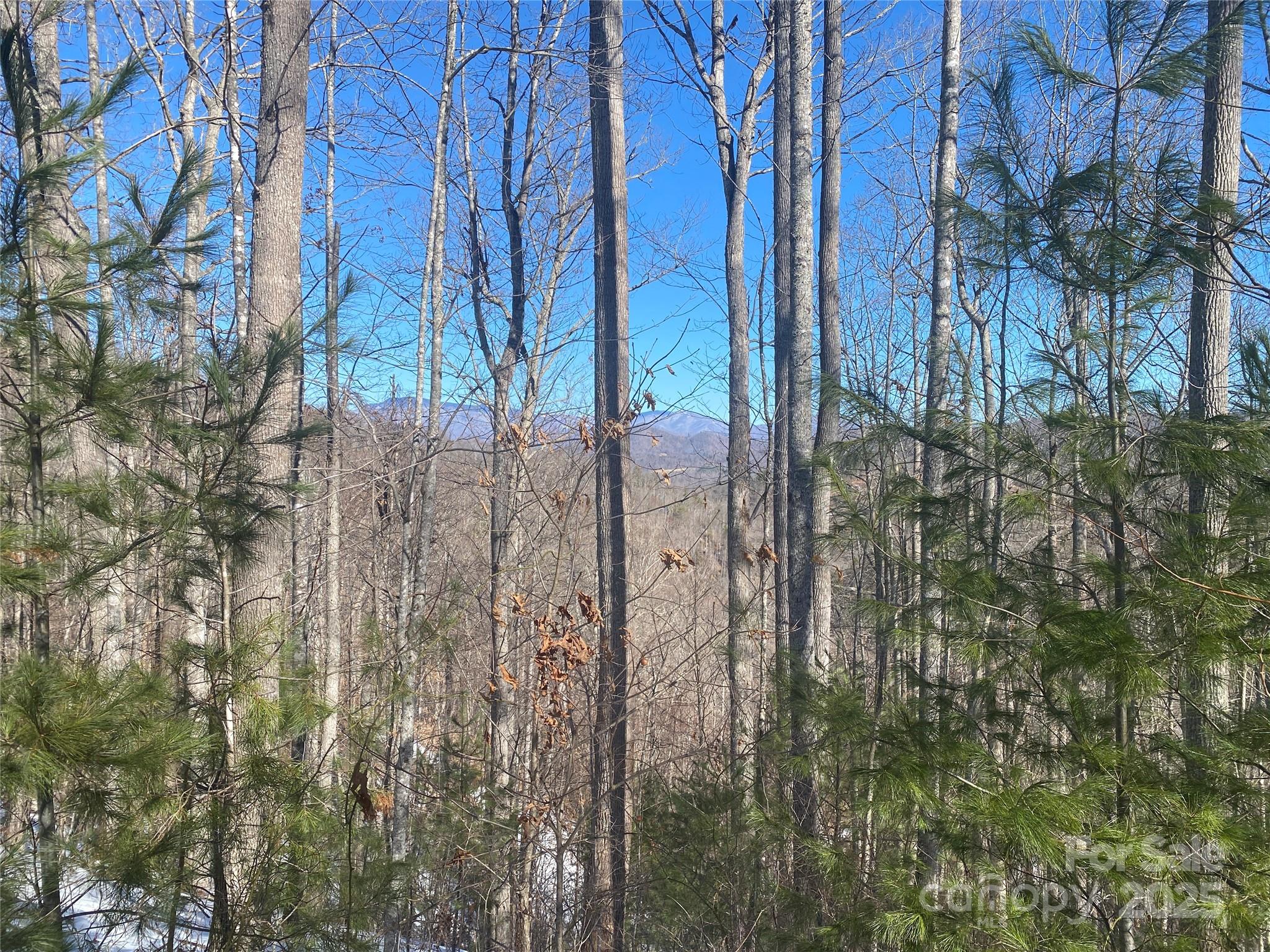 Lot 5 High Peak Drive Property Photo