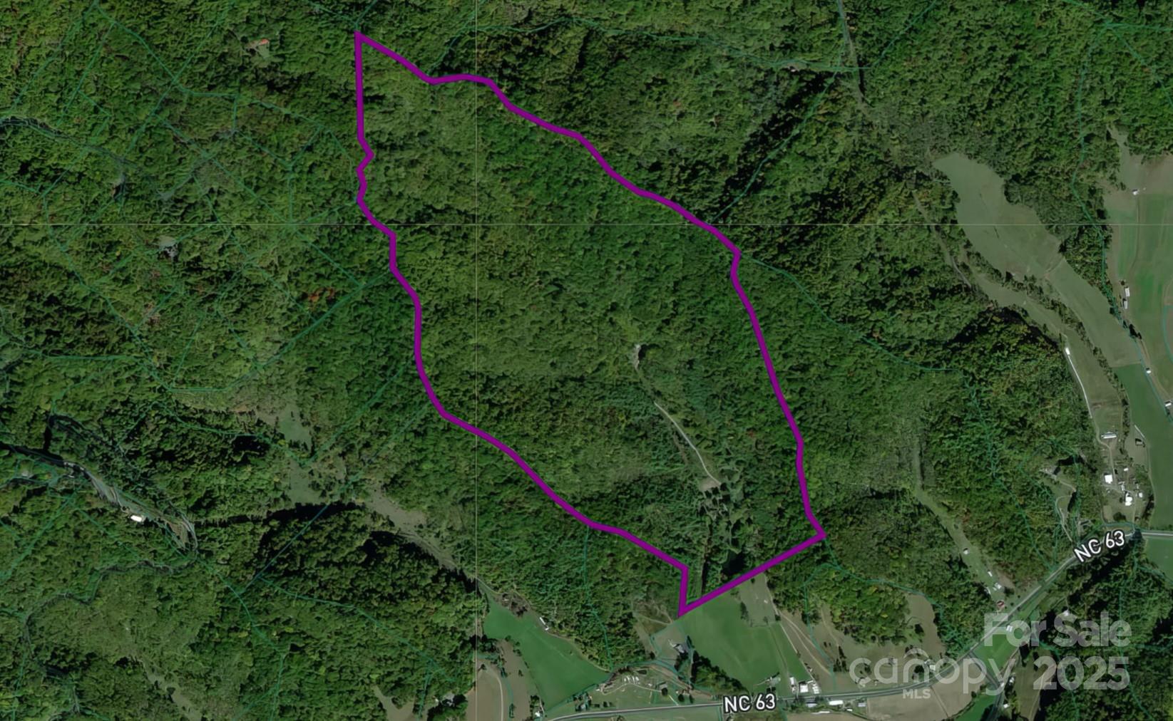 8749 Nc 63 Highway Property Photo 2