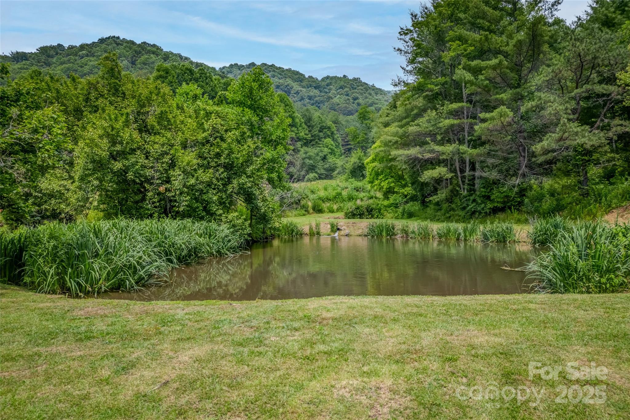 8749 Nc 63 Highway Property Photo 5