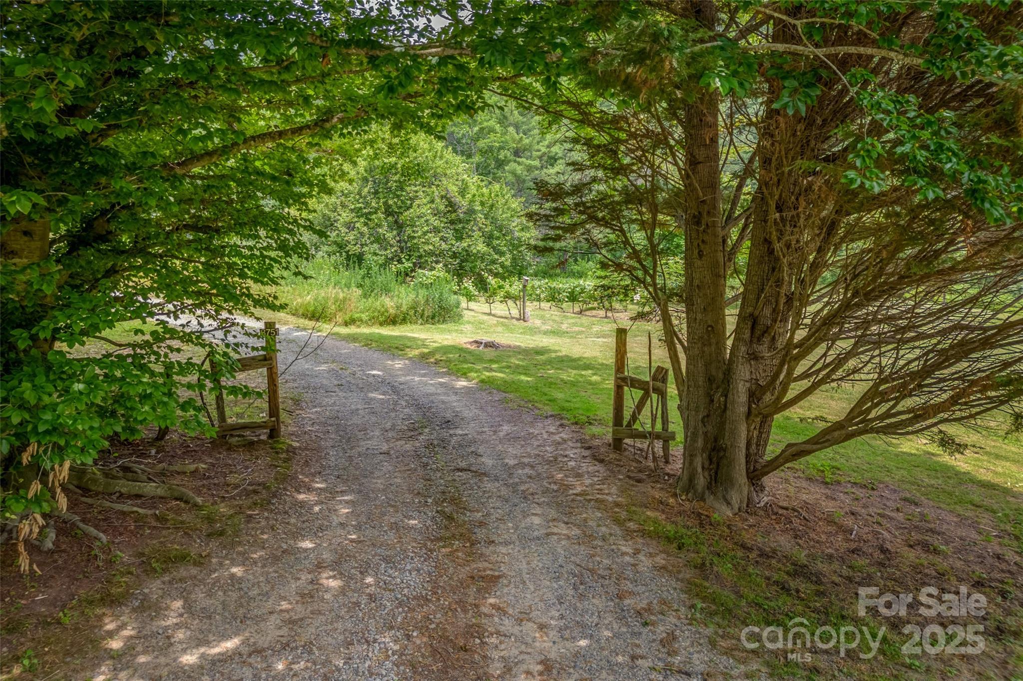 8749 Nc 63 Highway Property Photo 43