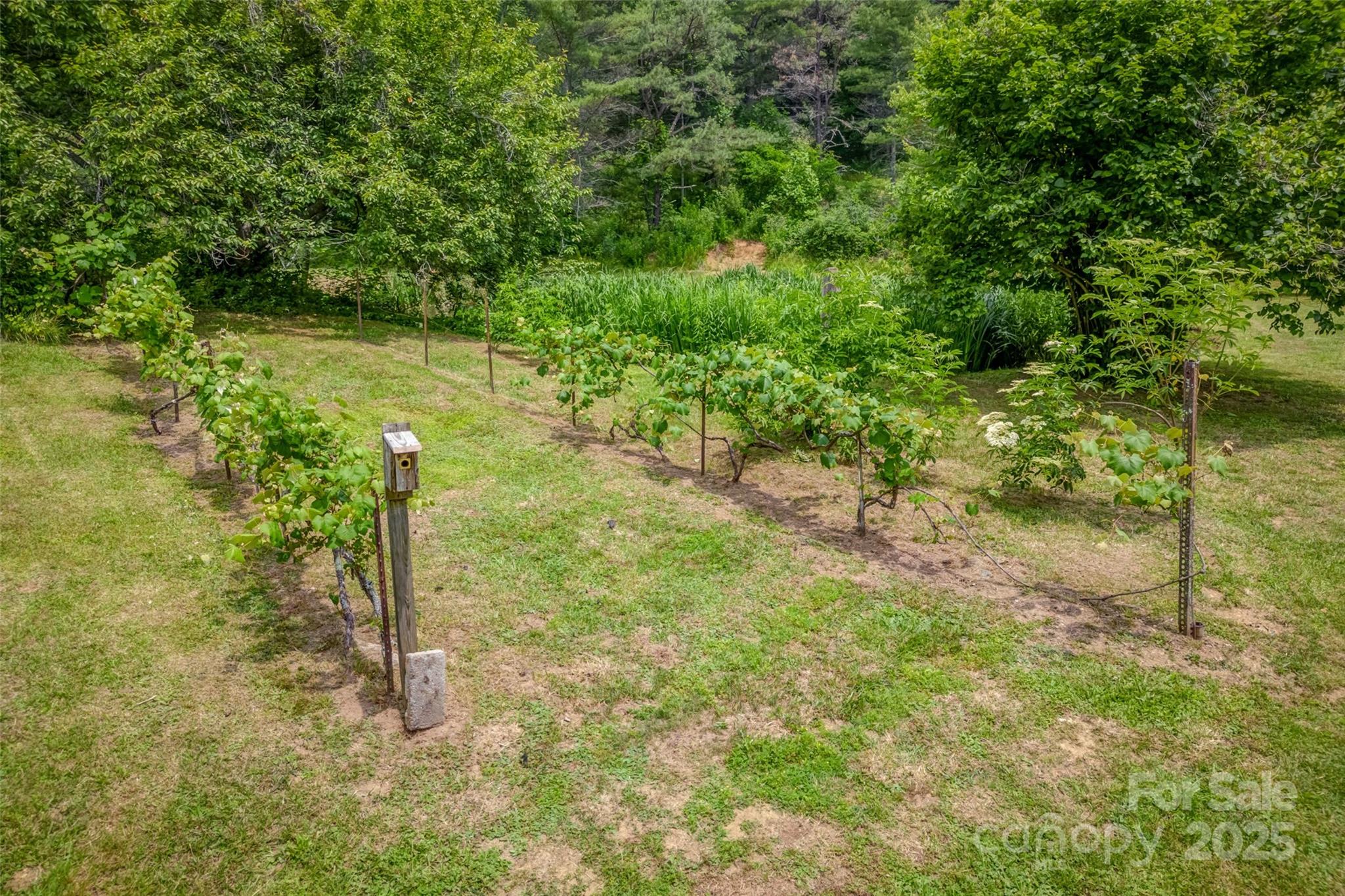 8749 Nc 63 Highway Property Photo 45