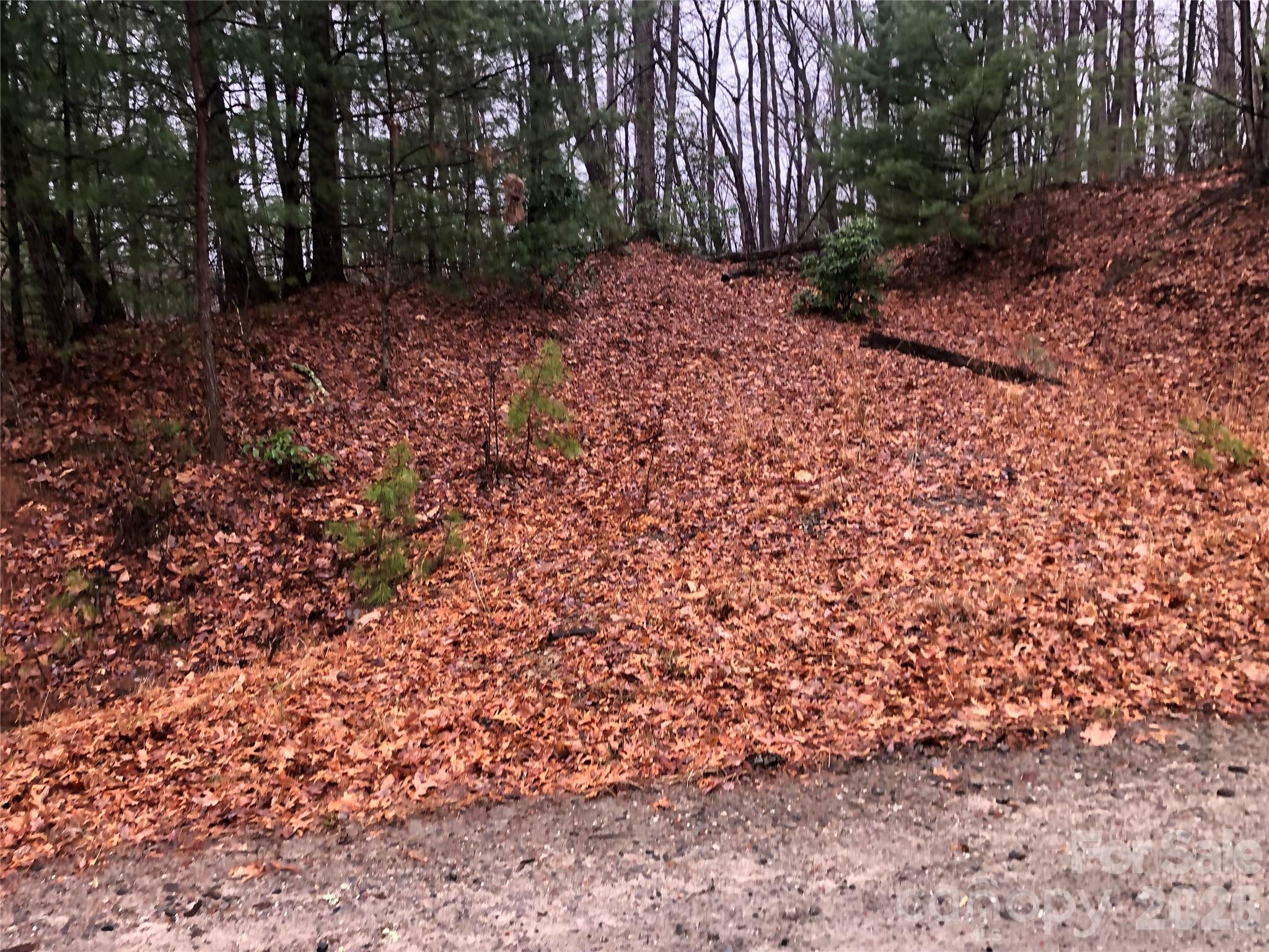 Tbd Pepper Bush Road 105 Property Photo 3