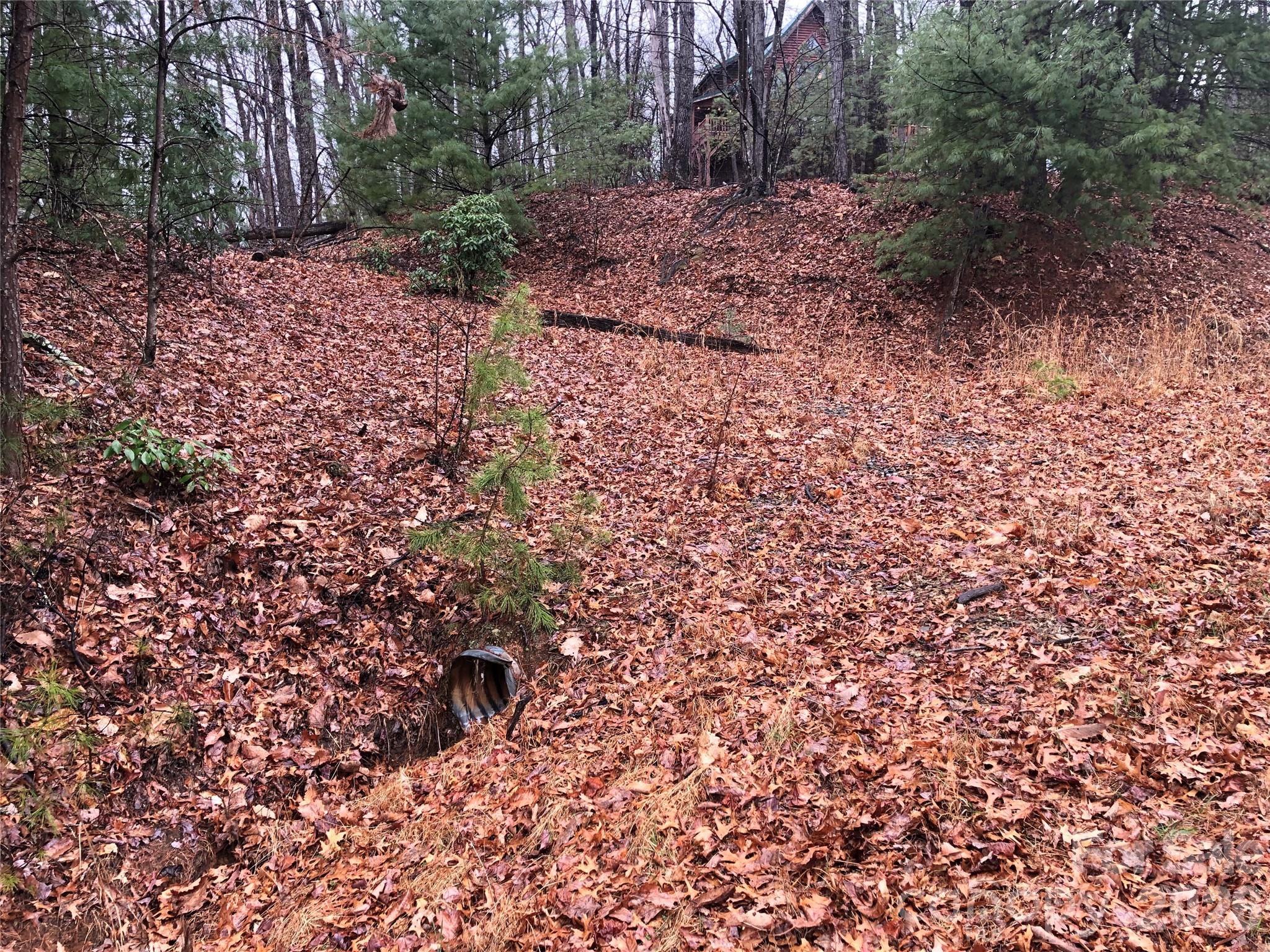Tbd Pepper Bush Road 105 Property Photo 5