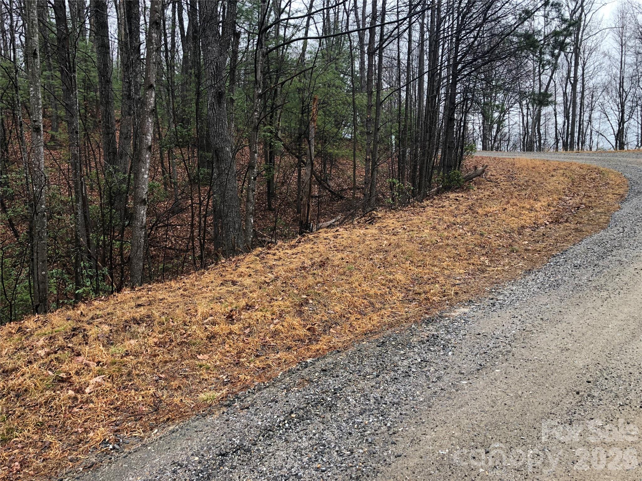 Tbd Pepper Bush Road 105 Property Photo 7