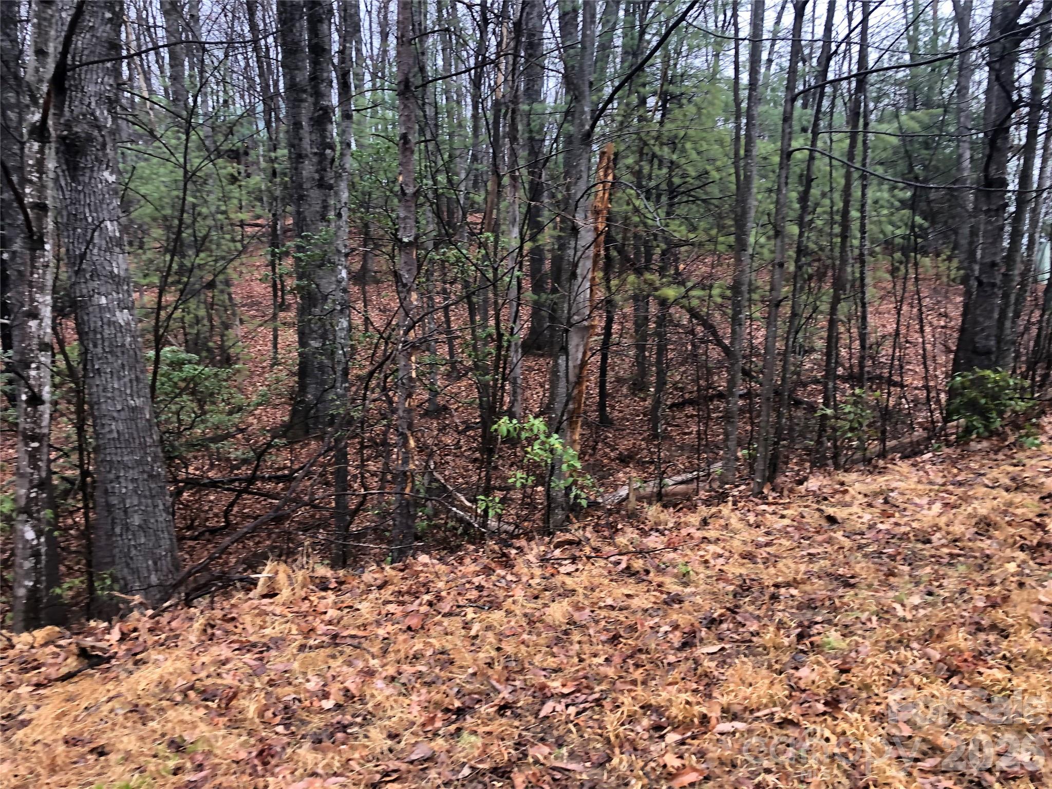 Tbd Pepper Bush Road 105 Property Photo 8