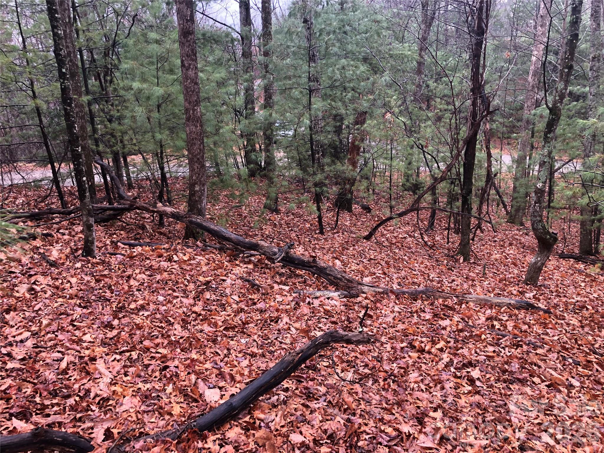 Tbd Pepper Bush Road 105 Property Photo 10