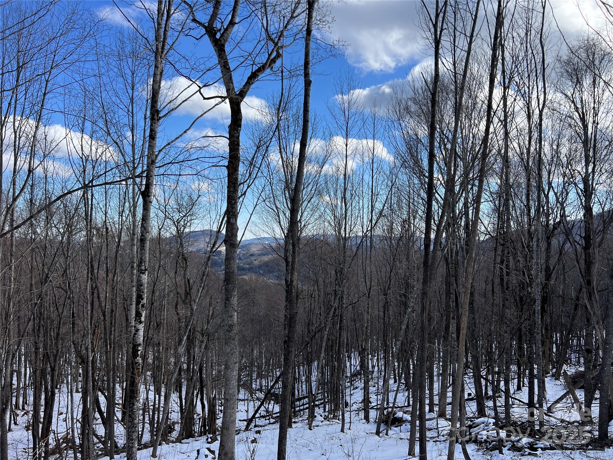 Tbd (lot 69) Poplar Forest Drive Property Photo