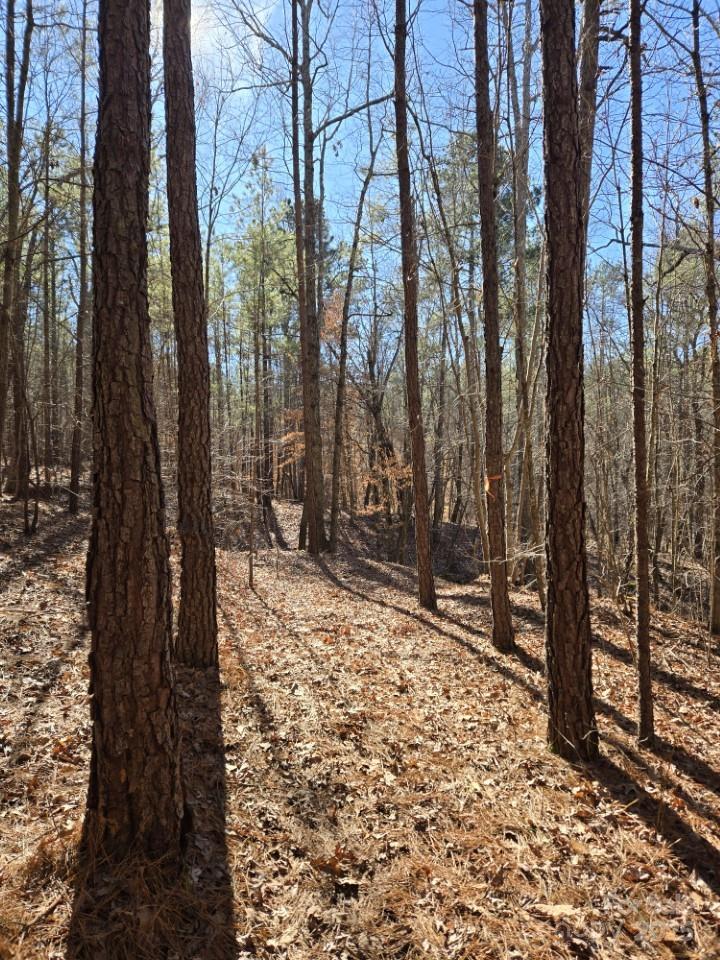 109 Nc Highway 109 Highway Property Photo 8