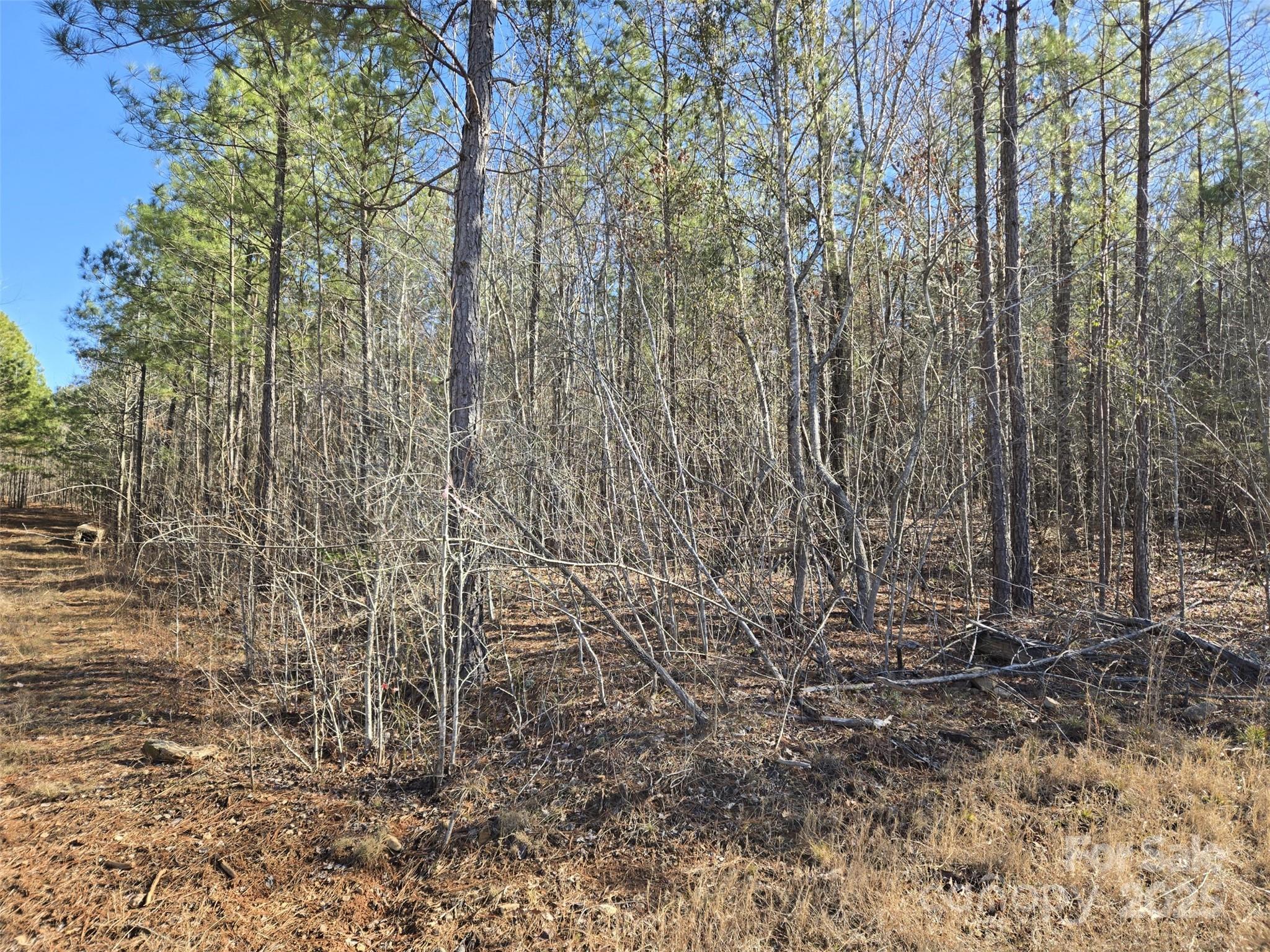 109 Nc Highway 109 Highway Property Photo 9