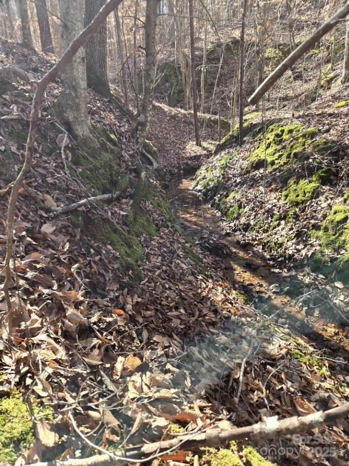 109 Nc Highway 109 Highway Property Photo 10