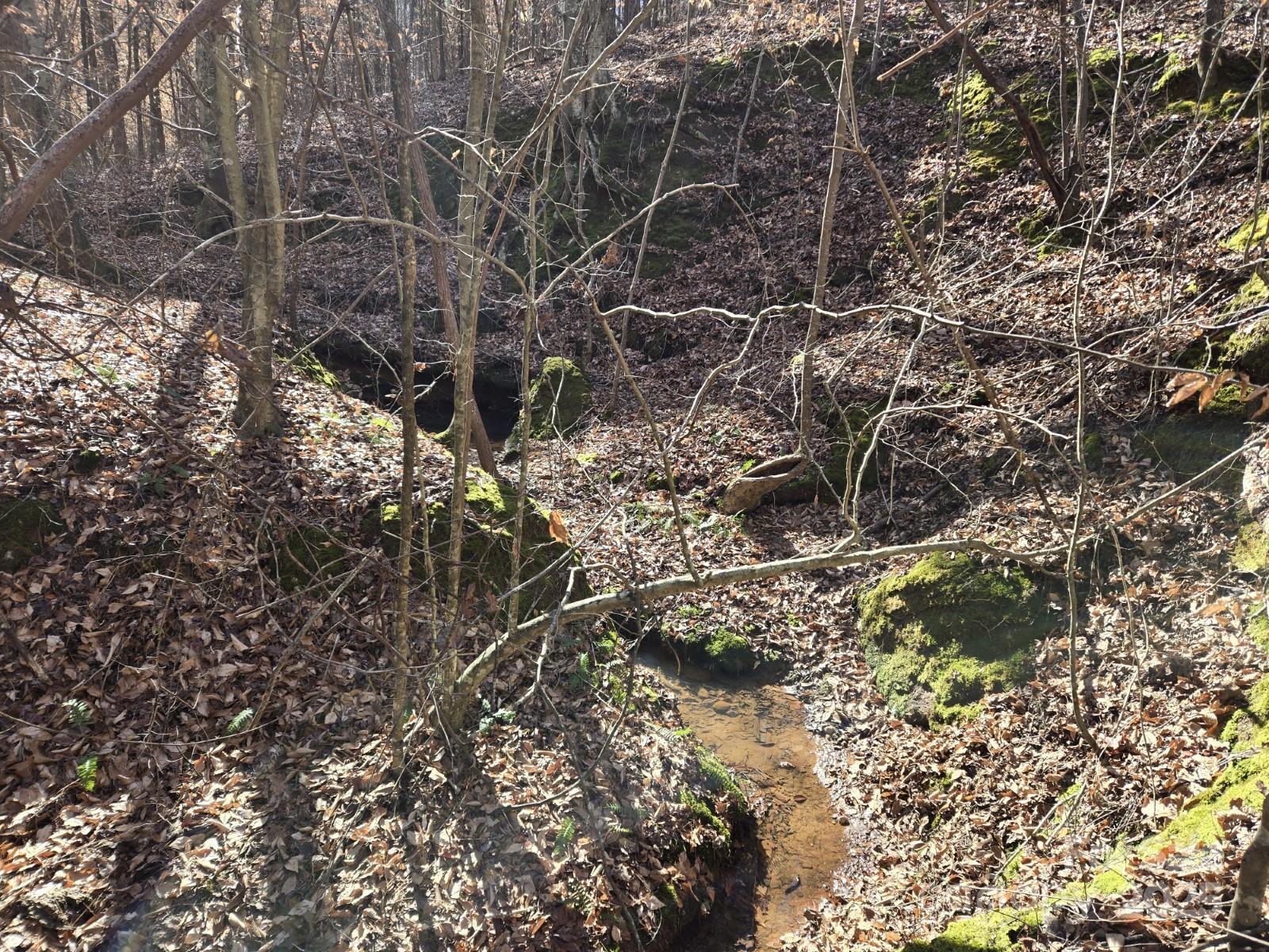 109 Nc Highway 109 Highway Property Photo 11