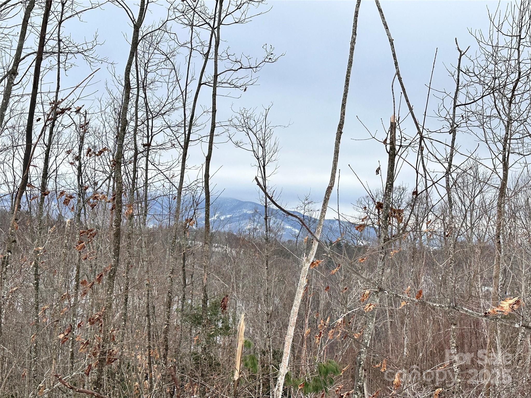0000 Lot 78 Black Bear Crossing Property Photo