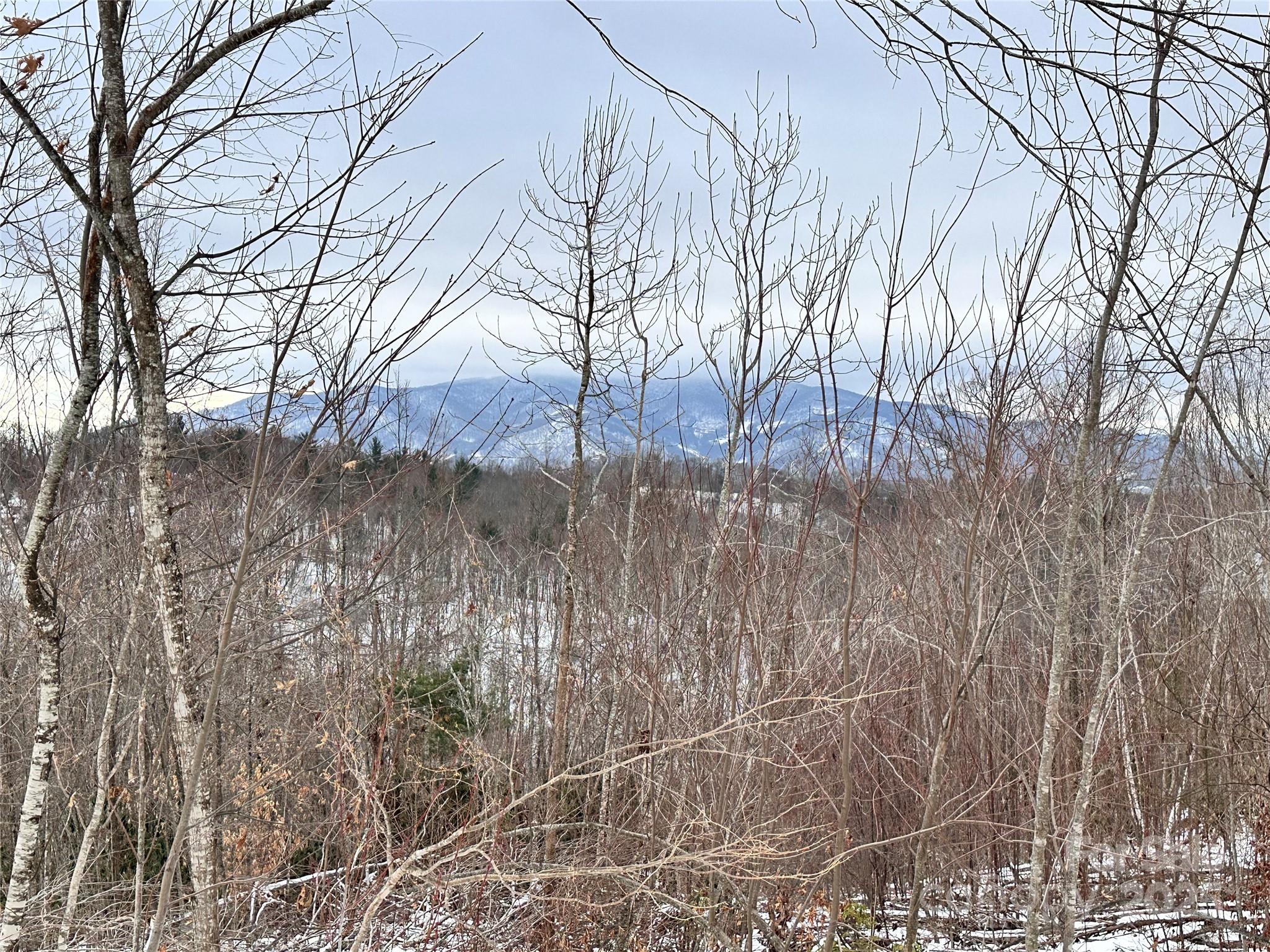 0000 Lot 78 Black Bear Crossing Property Photo 2