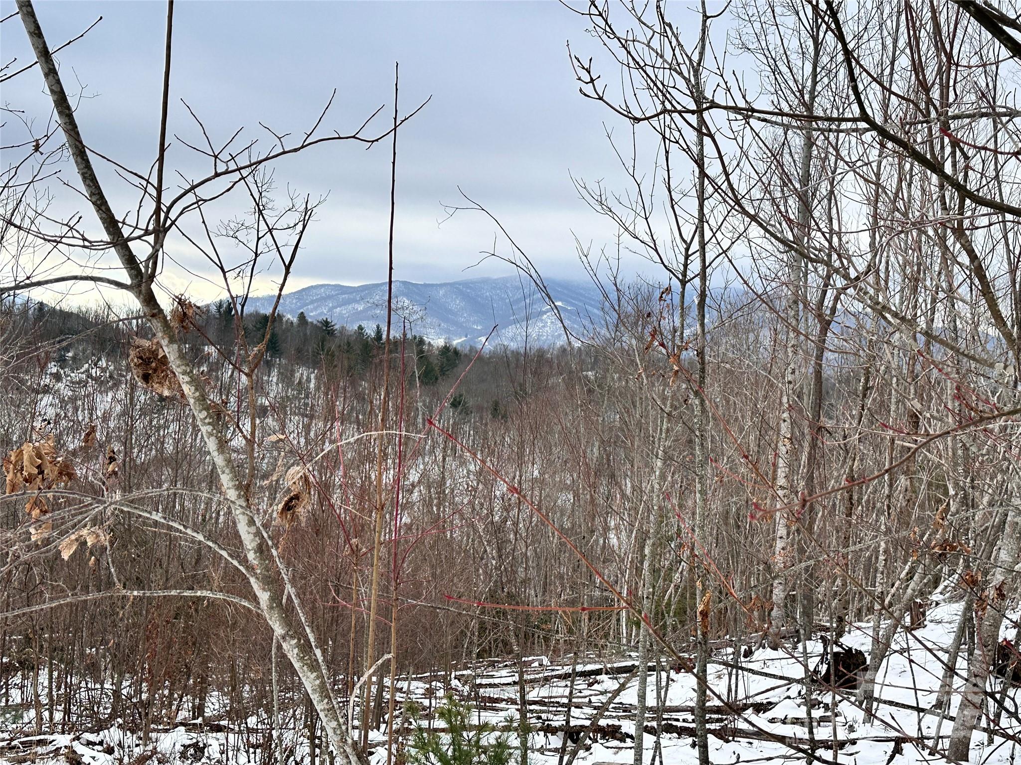 0000 Lot 78 Black Bear Crossing Property Photo 3