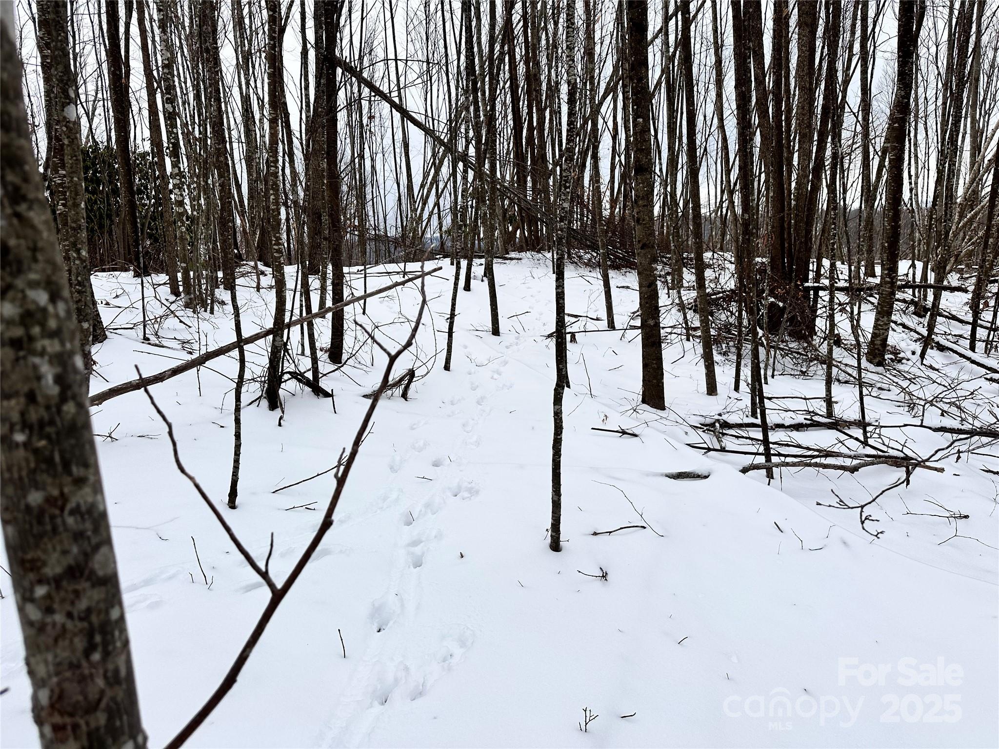 0000 Lot 78 Black Bear Crossing Property Photo 4