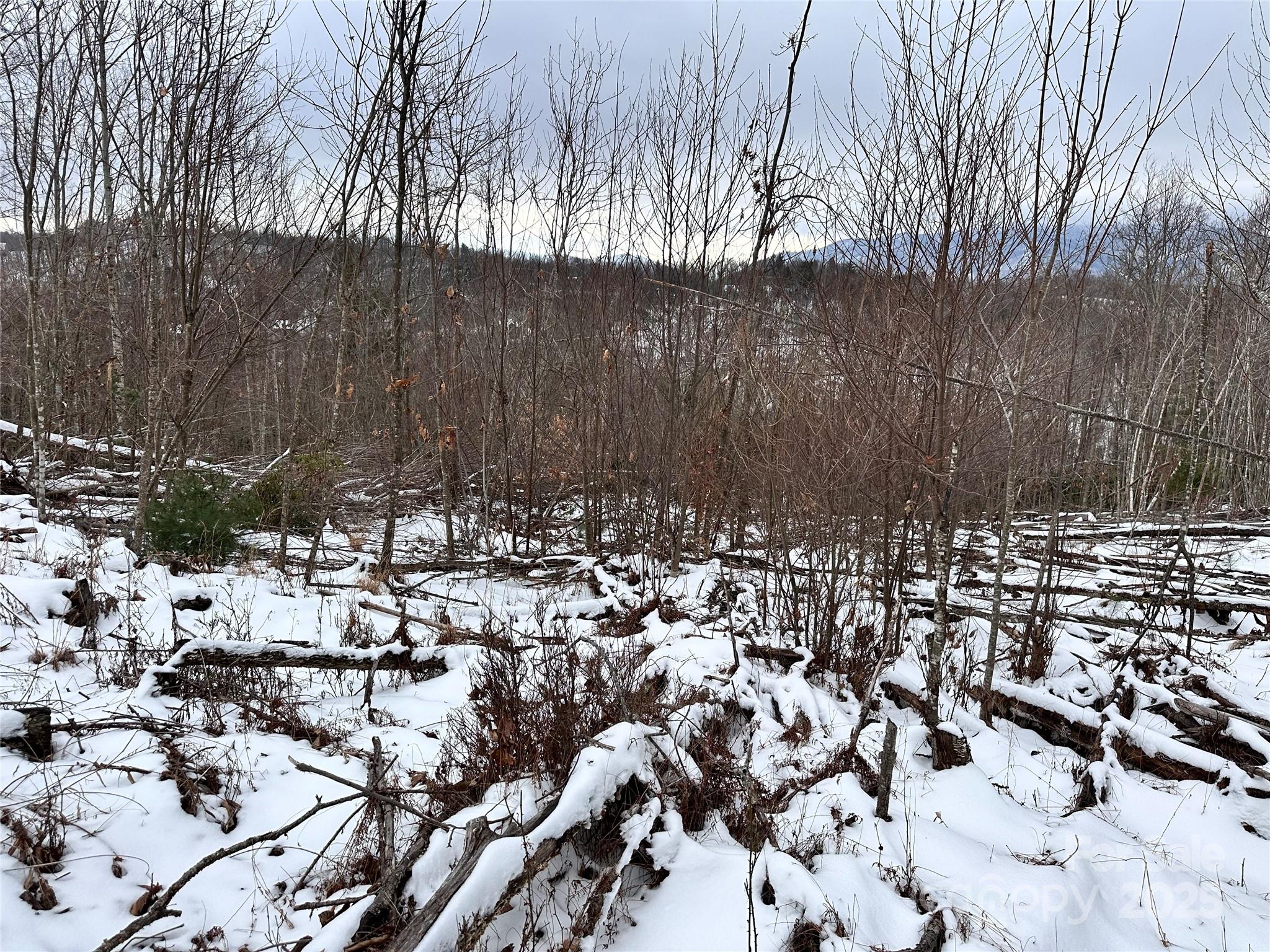 0000 Lot 78 Black Bear Crossing Property Photo 5