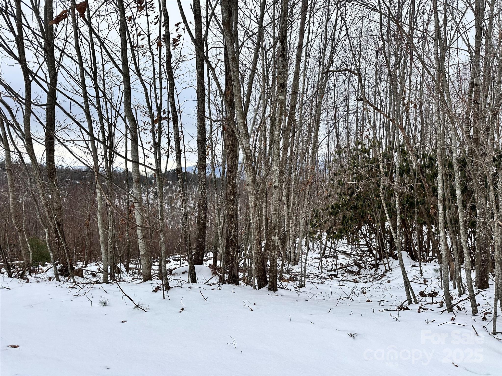 0000 Lot 78 Black Bear Crossing Property Photo 6