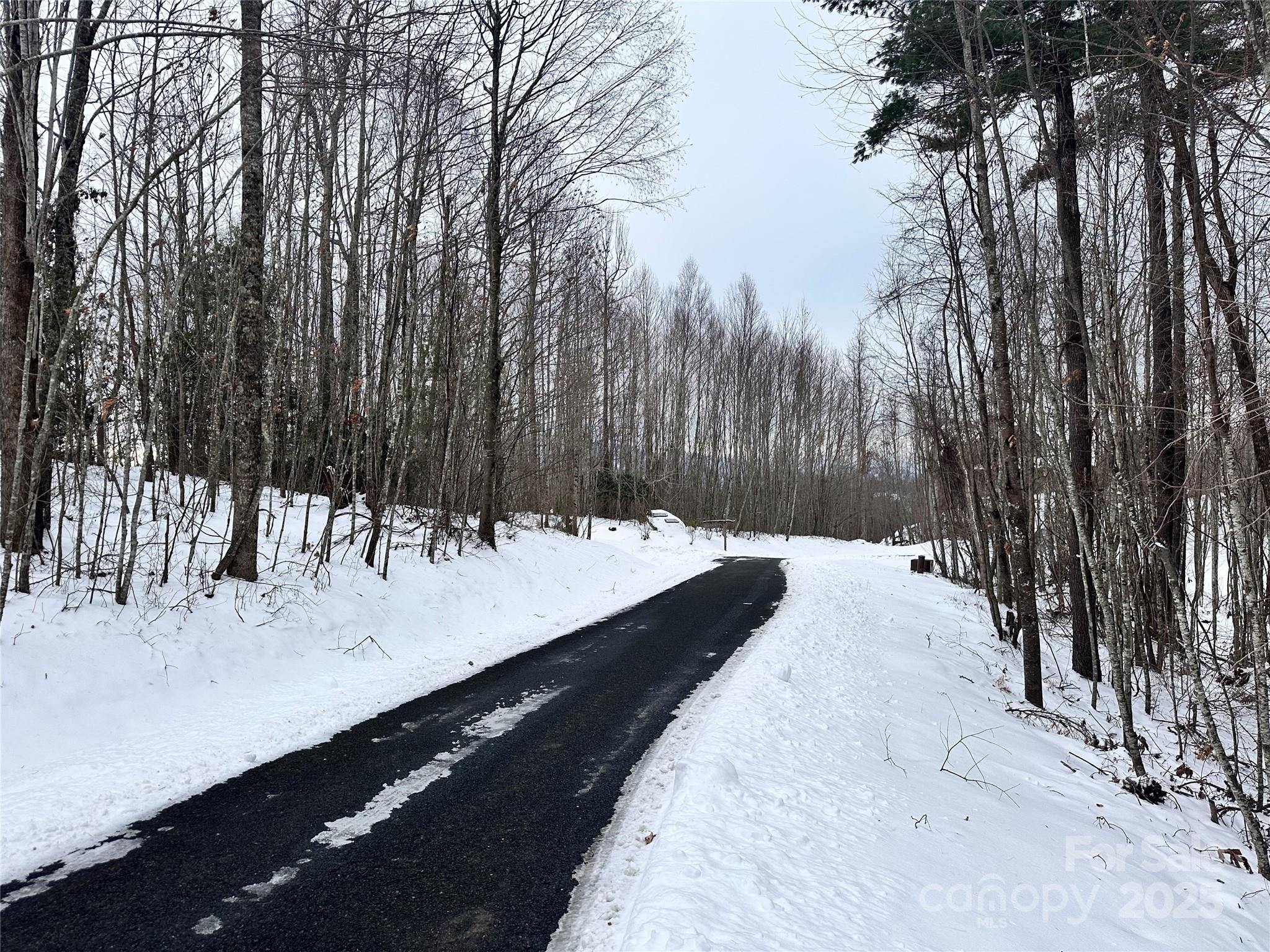 0000 Lot 78 Black Bear Crossing Property Photo 7