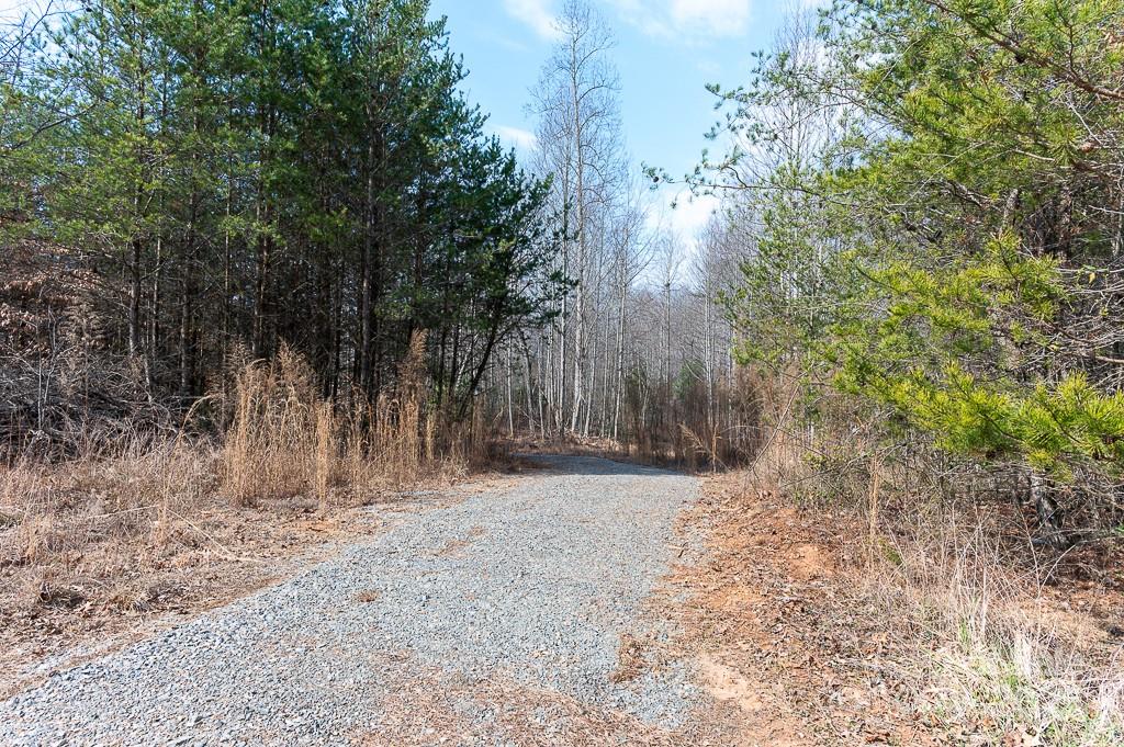 678 Jarvis Plantation Road Property Photo 8